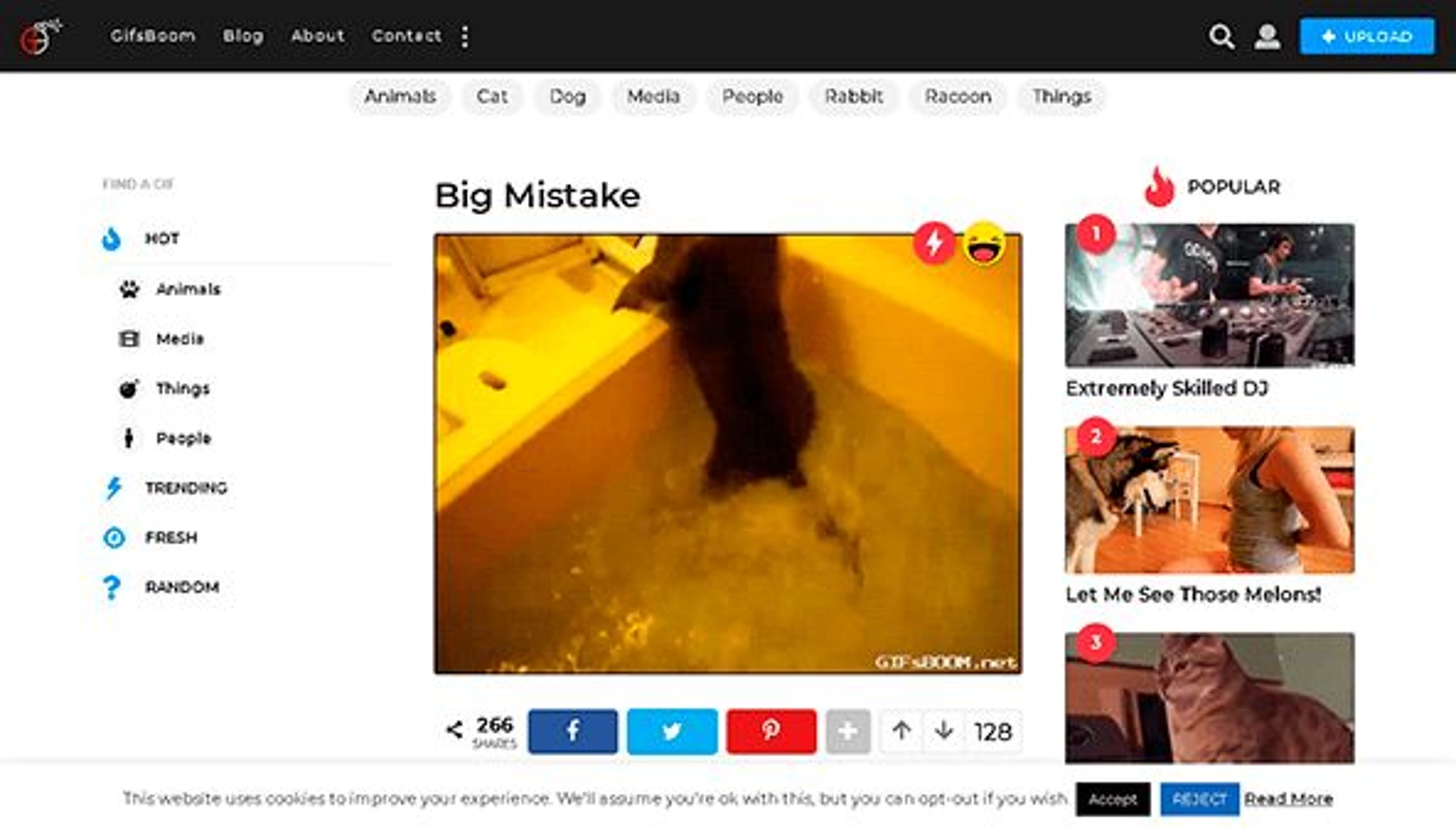 Gifs boom (gifsboom.net)