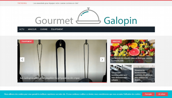 gourmet-galopin.com