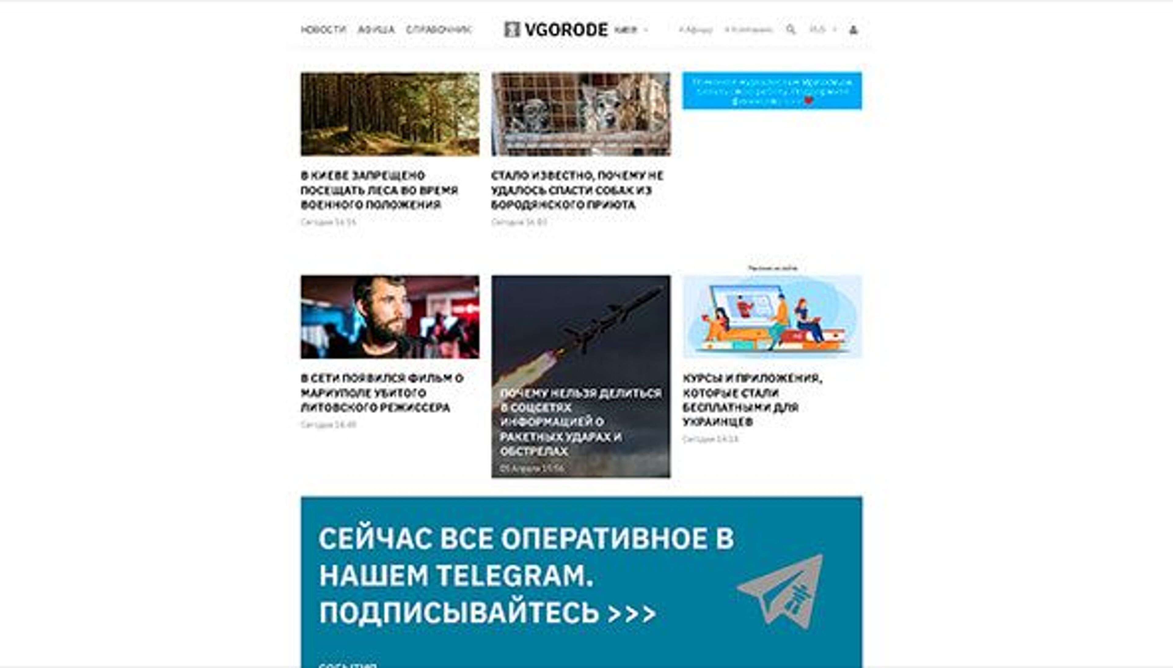 Vgorode (Kijevas) (kiev.vgorode.ua)