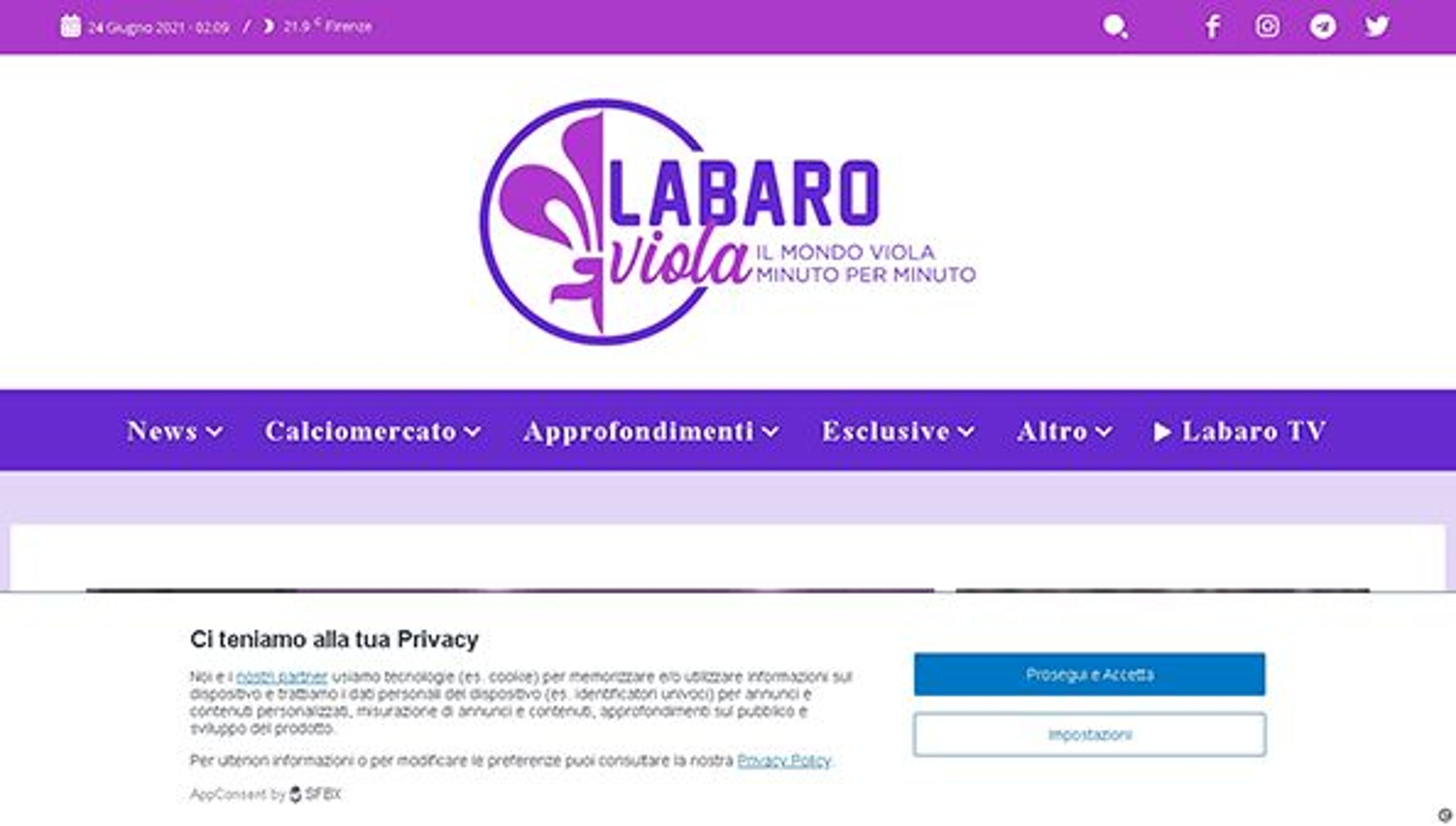 Фиолетовый Лабаро (labaroviola.com)