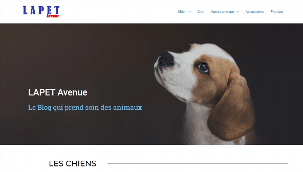 lapetavenue.com