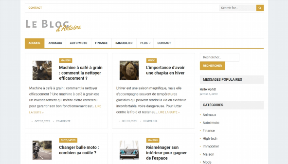 leblogdantoine.com