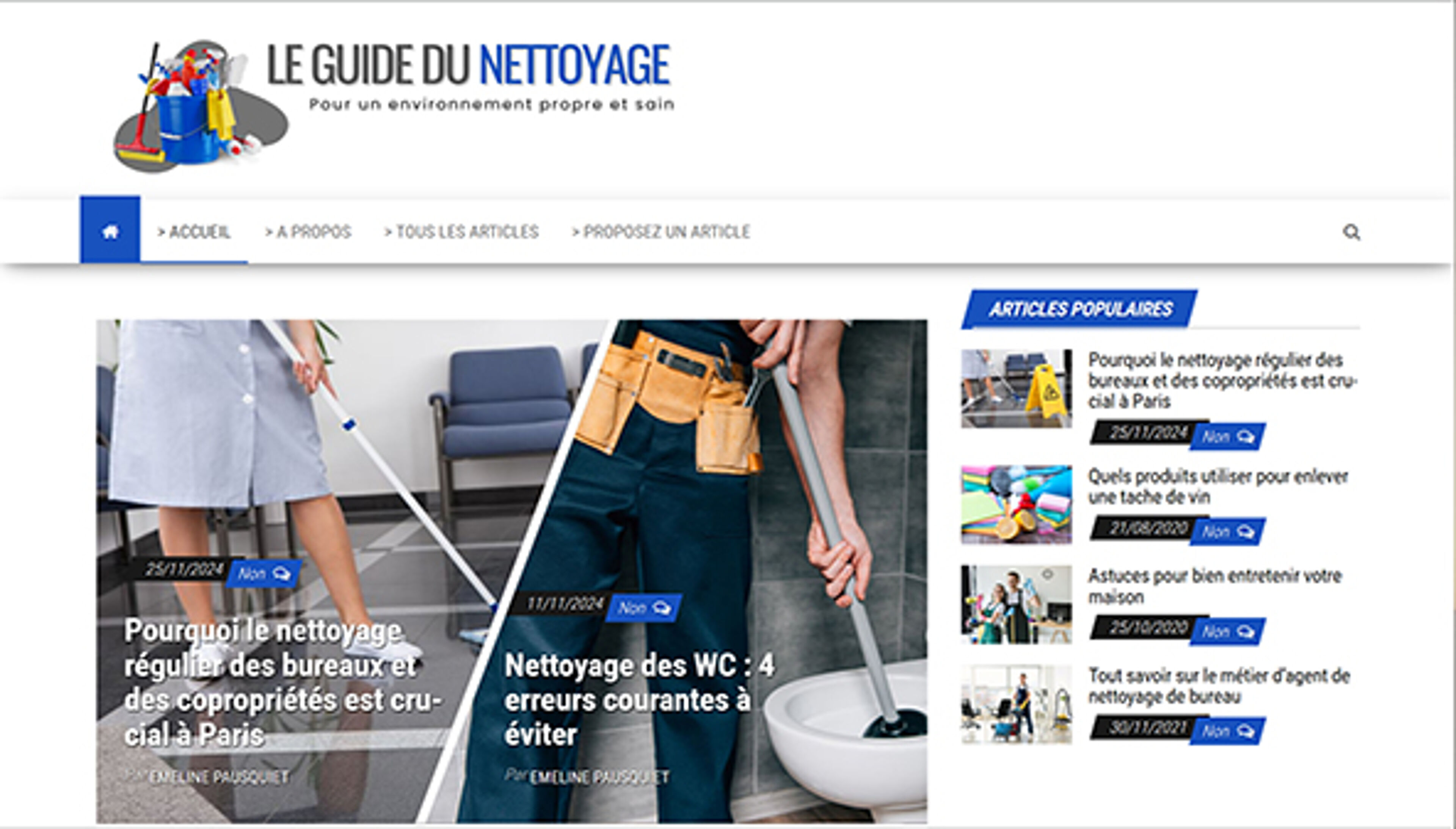 leguidedunettoyage.fr