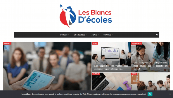 lesblancsdecole.com