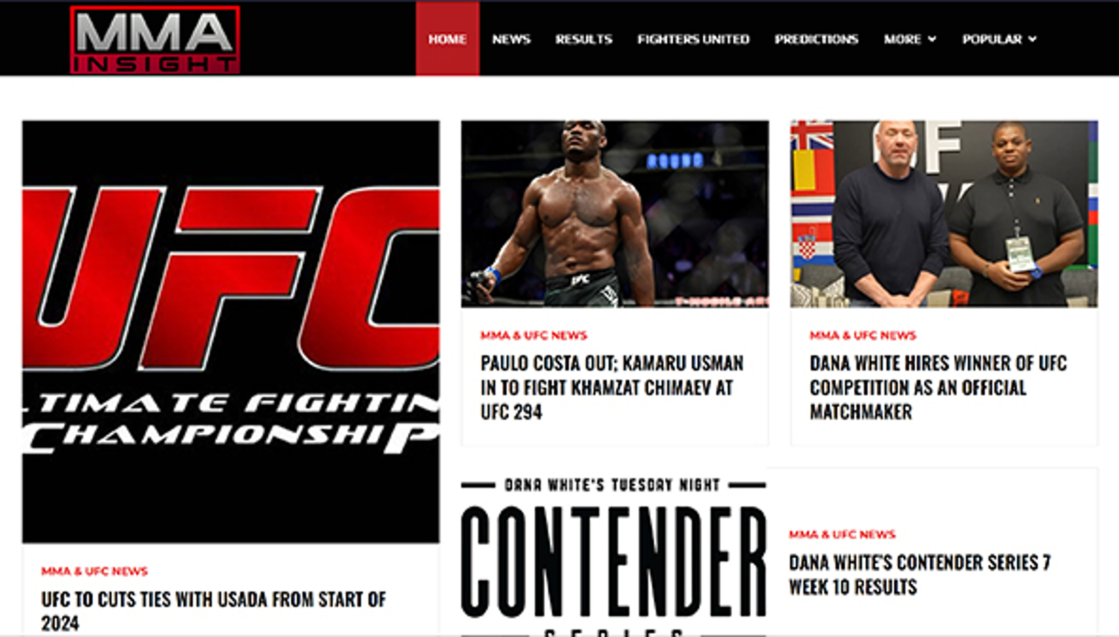 Взгляд на ММА (mmainsight.com)