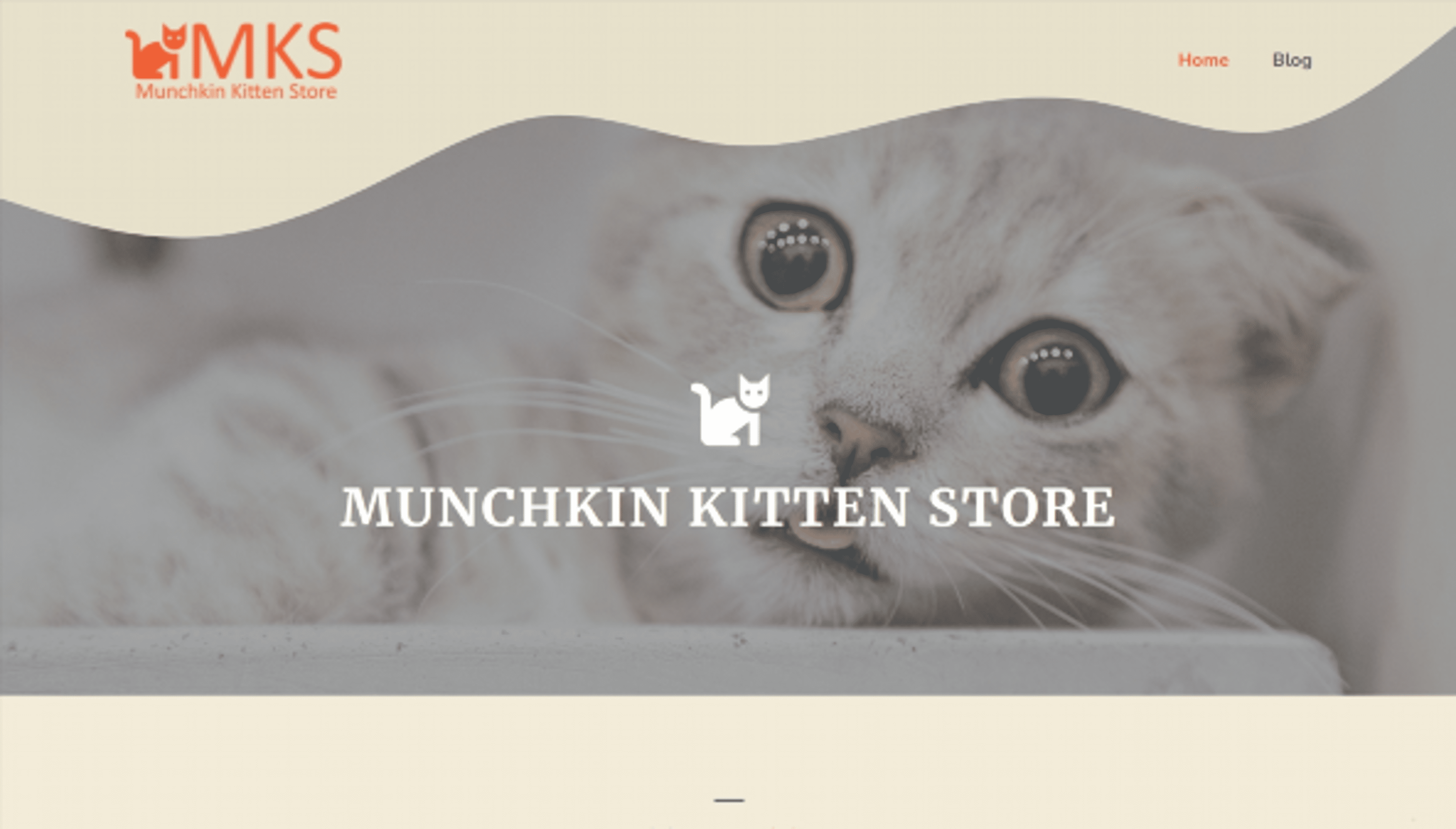 munchkinkittenstore.com
