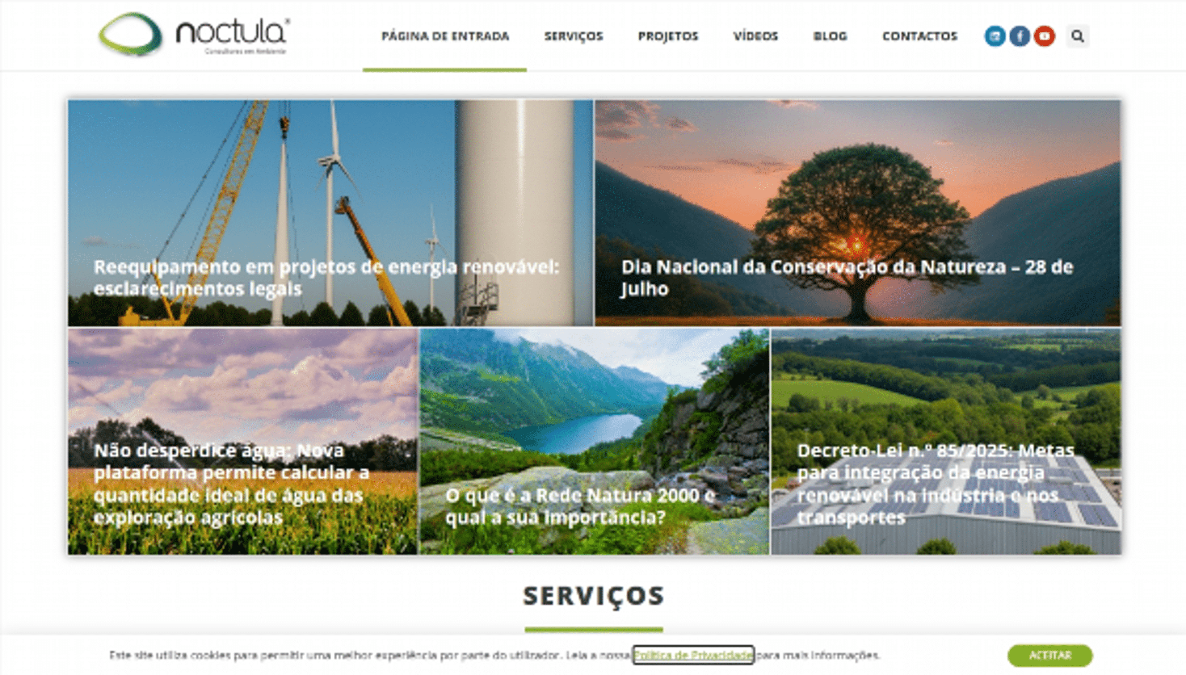 noctula.pt