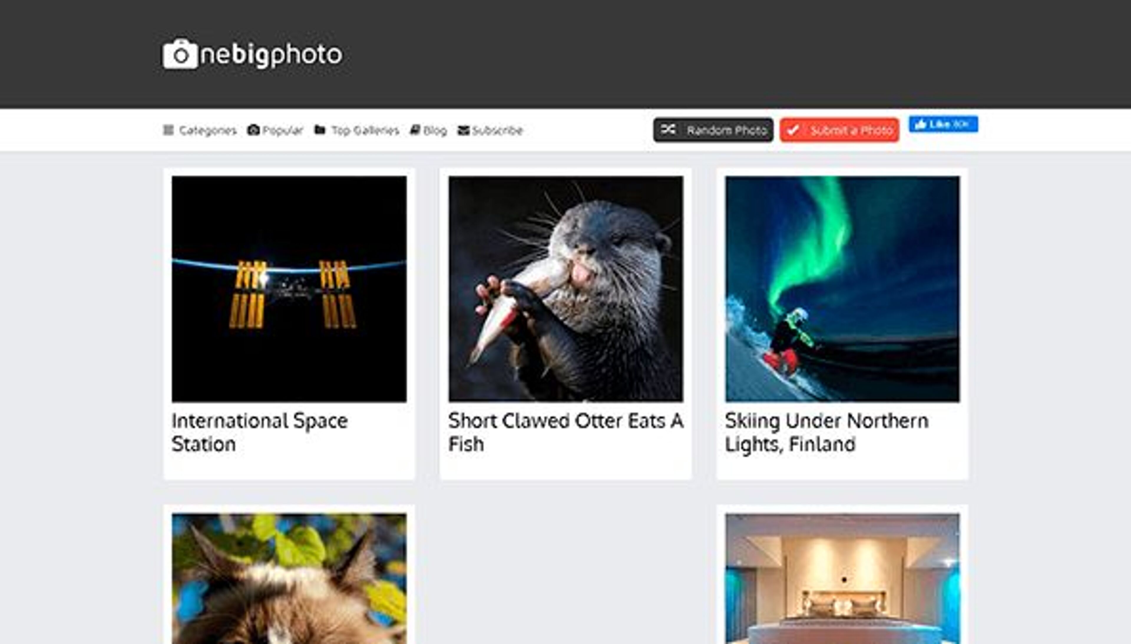 Ein großes Foto (onebigphoto.com)