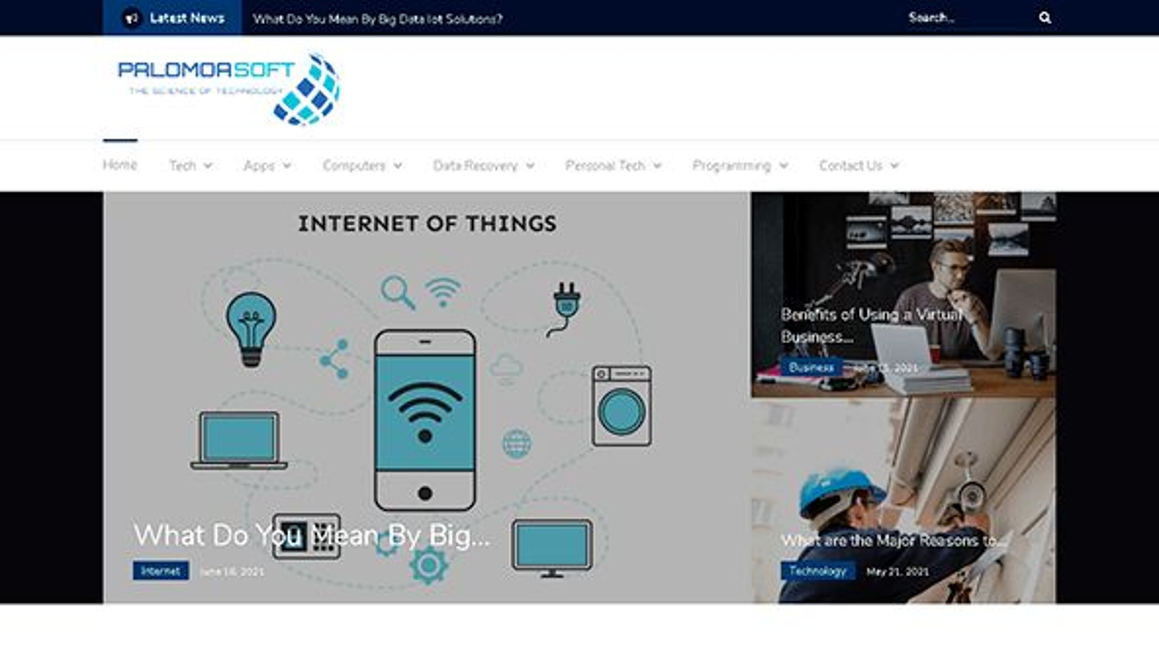 بالوموا الناعمة (palomoasoft.com)