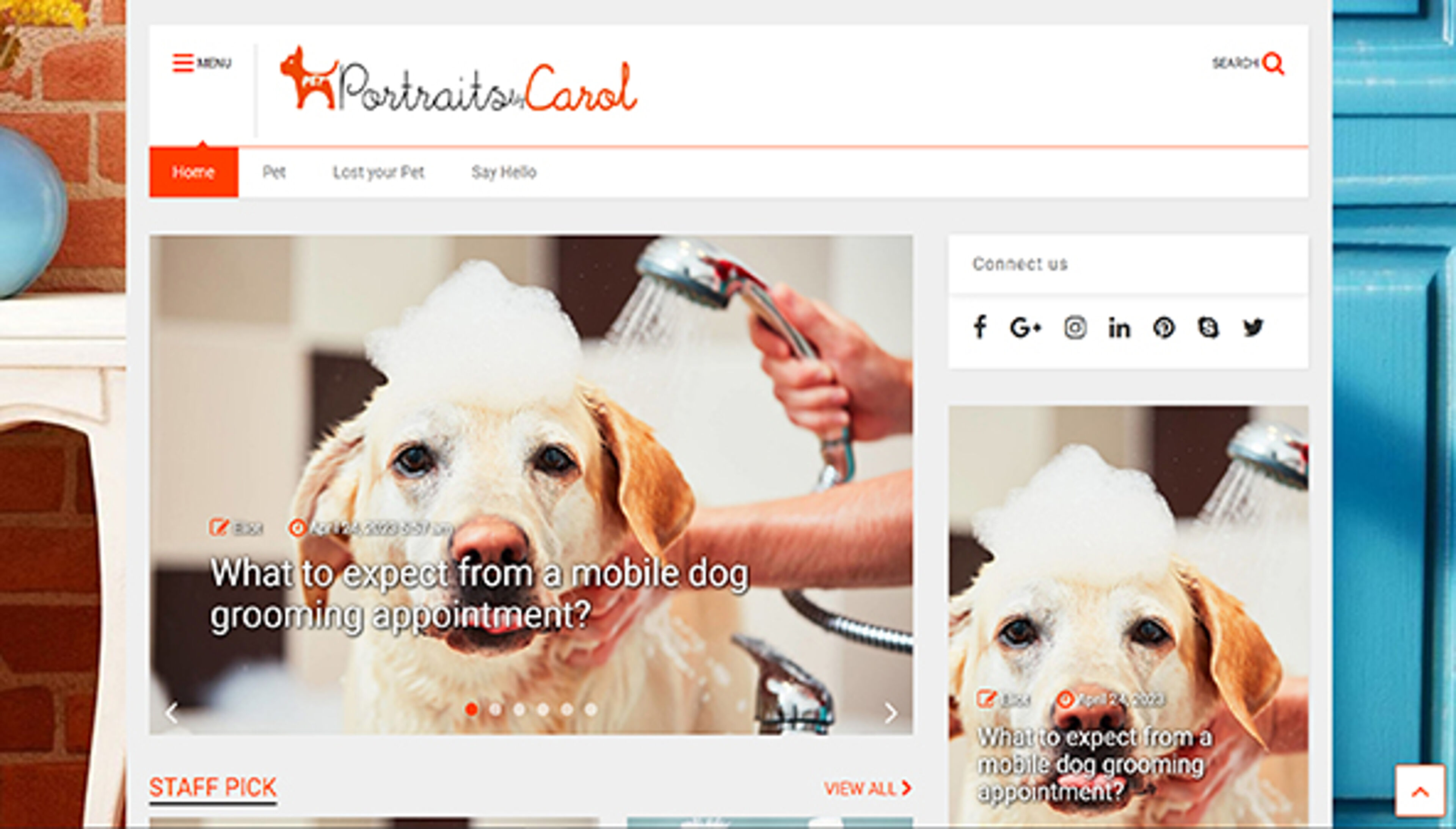 petportraitsbycarol.com