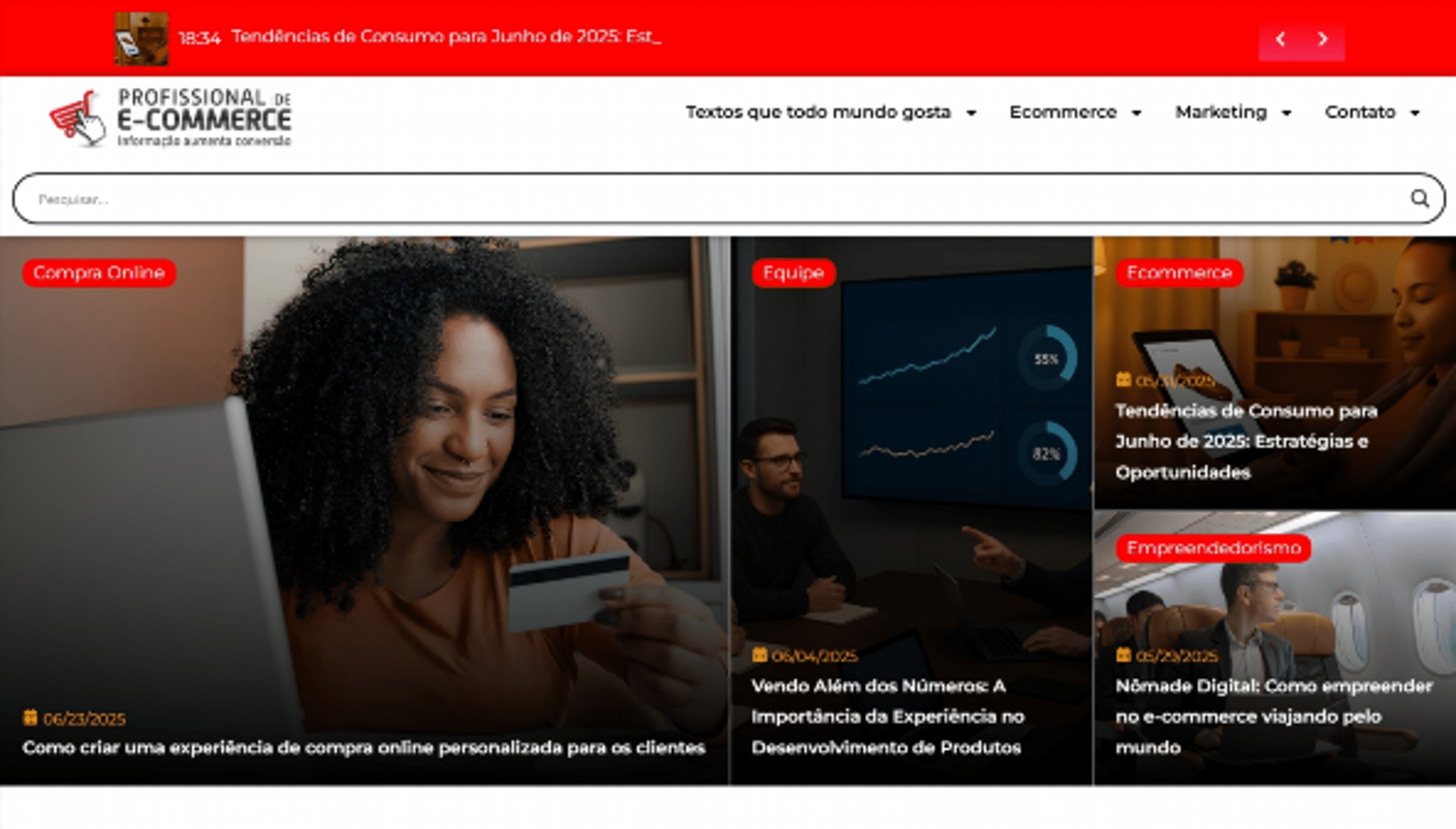 profissionaldeecommerce.com.br