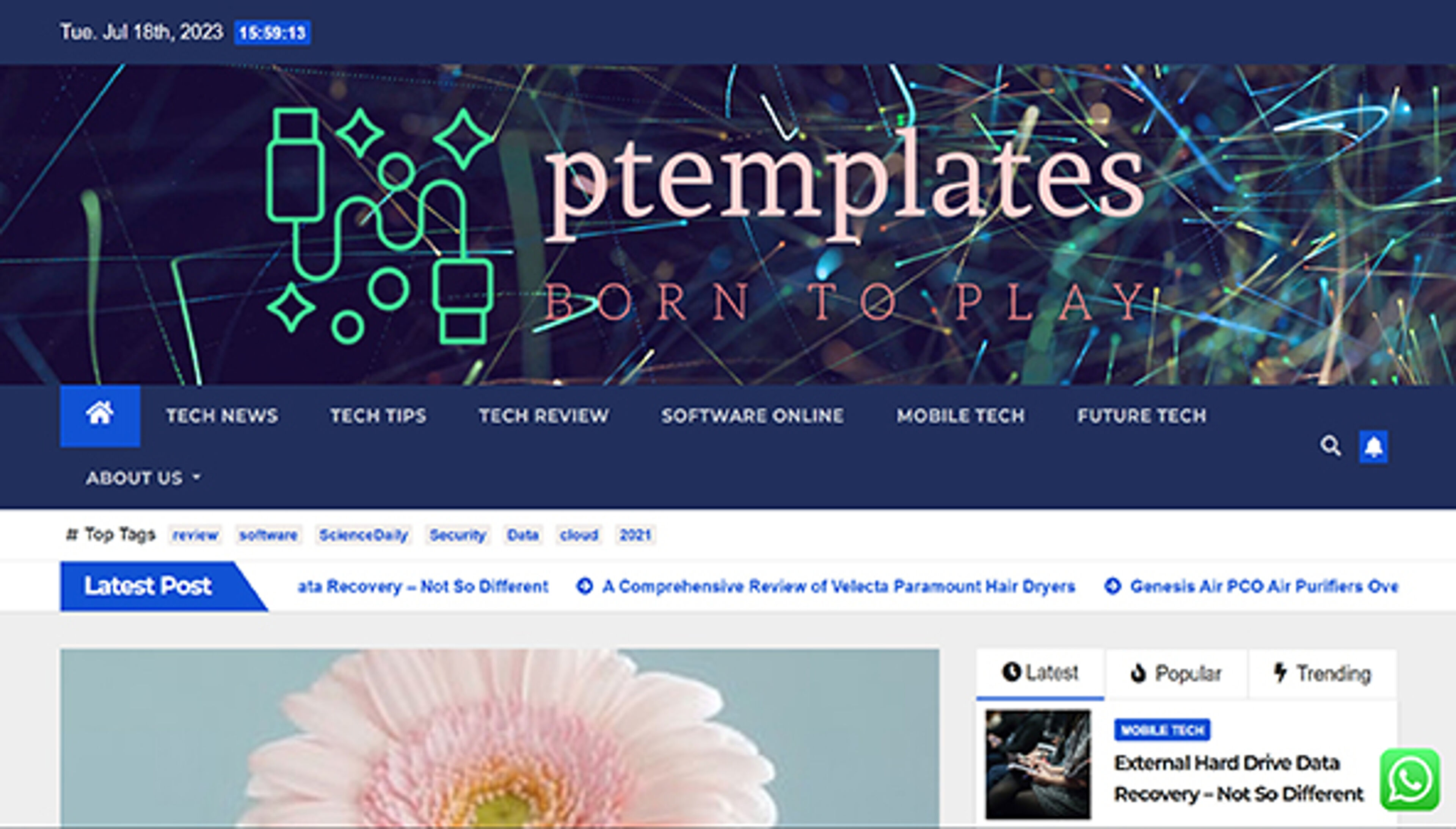 ptemplates.com