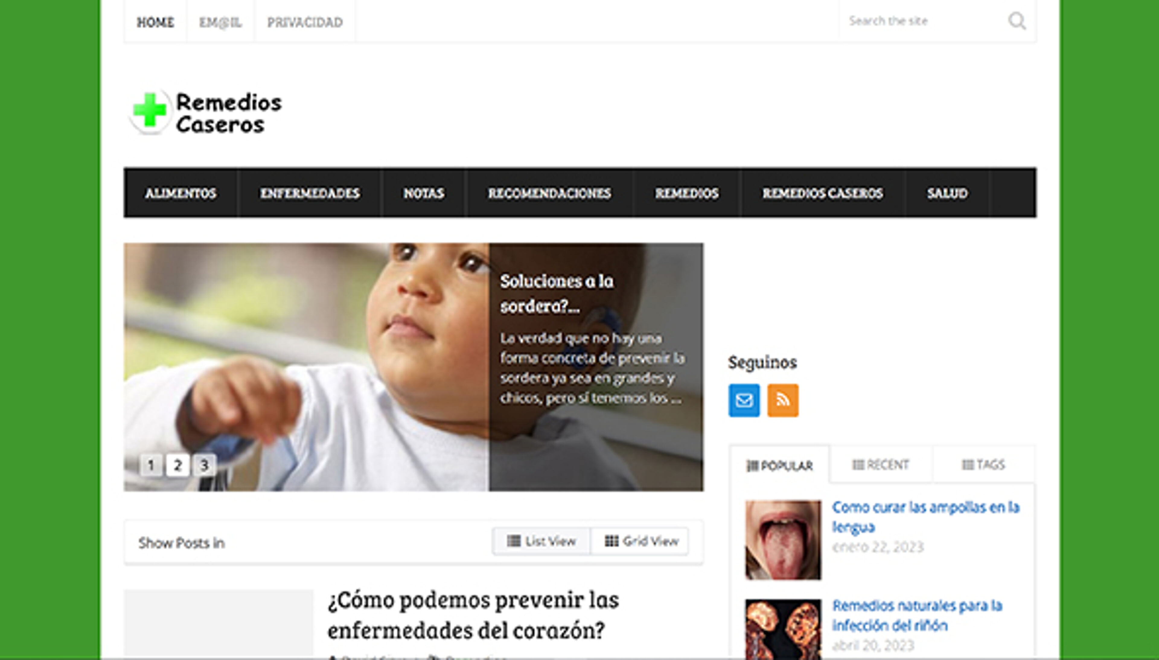 remediocaseroweb.com