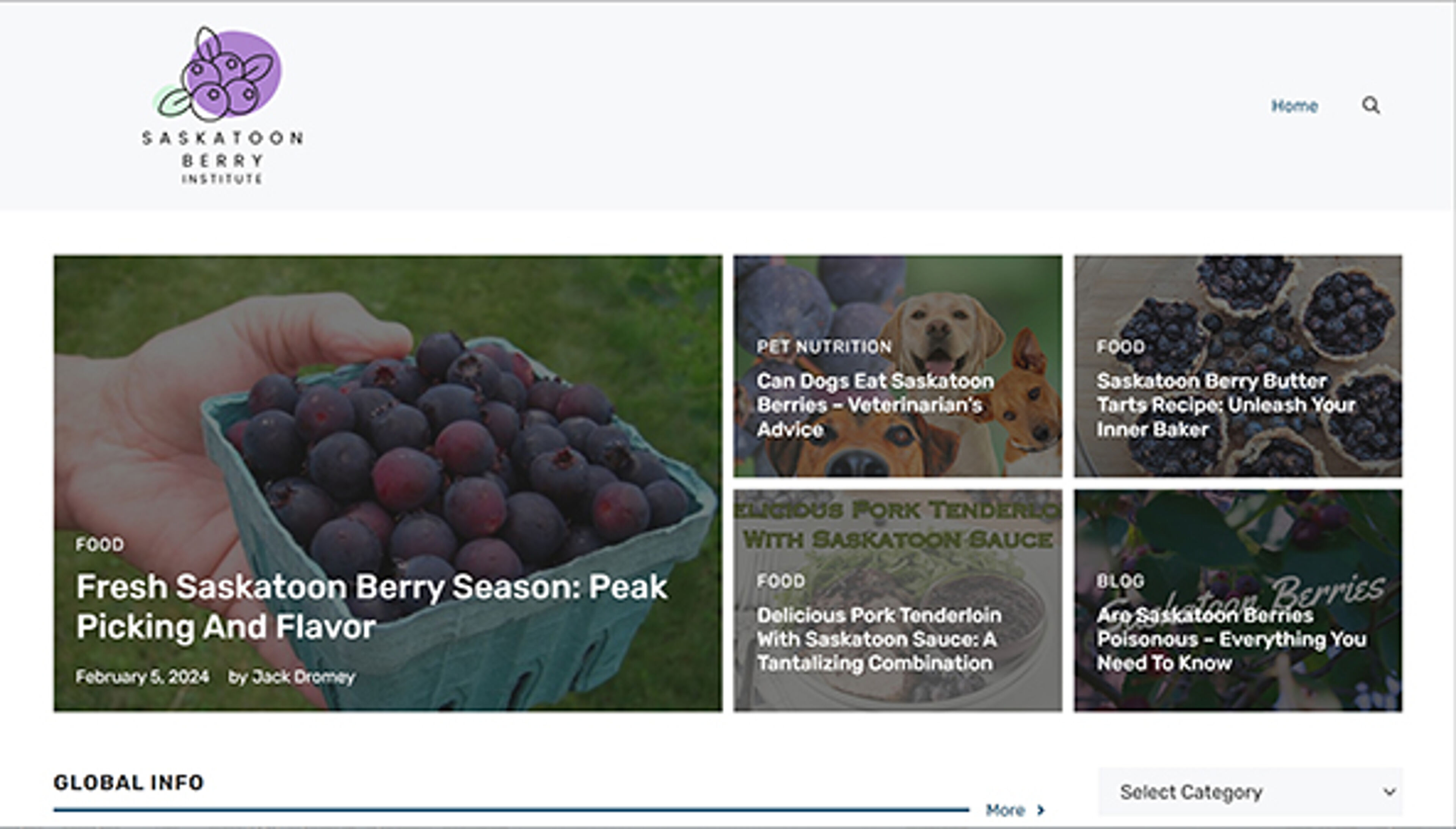 saskatoonberryinstitute.org