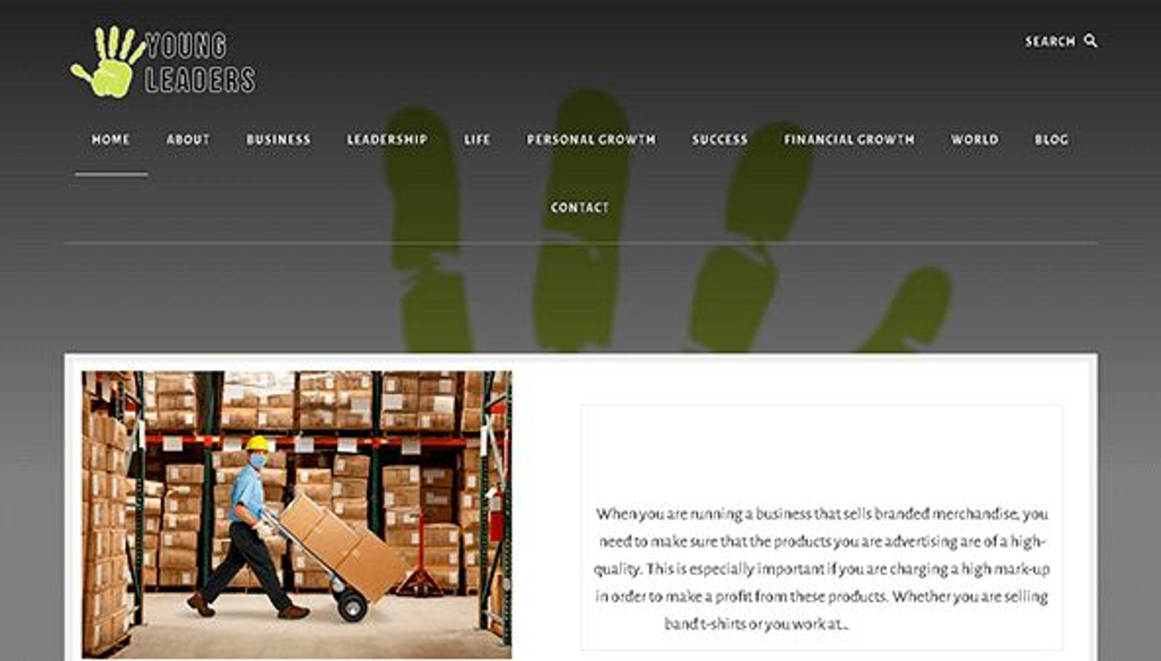 Jovens líderes (sdgyoungleaders.org)