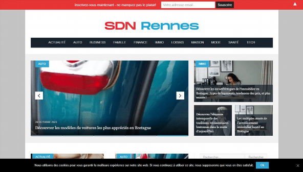 sdn-rennes.org
