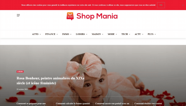 shop-mania.info