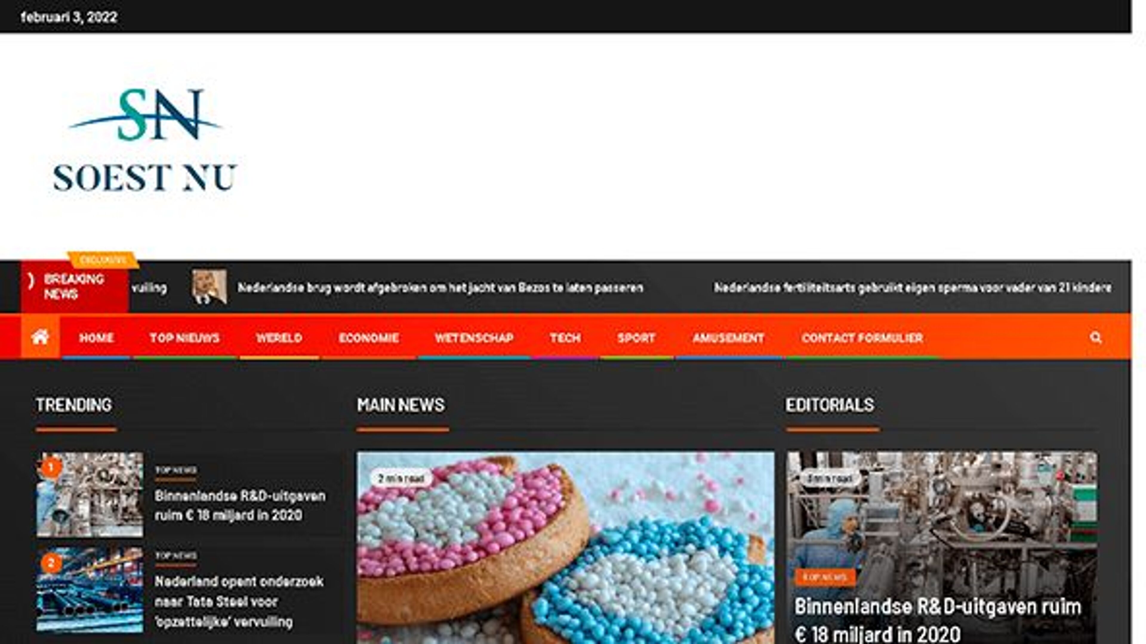 Соест сейчас (soestnu.nl)