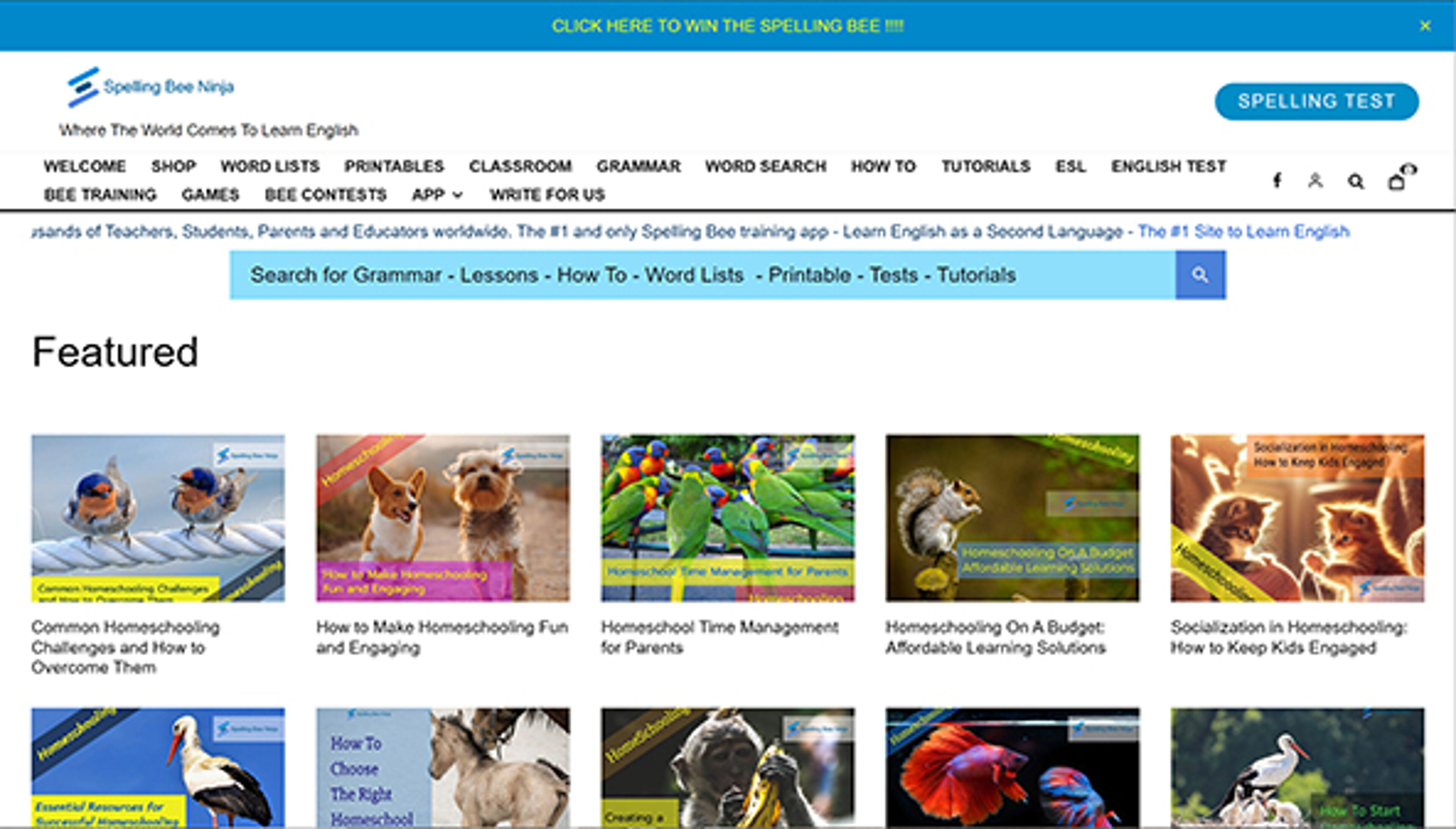 spellingbee.ninja