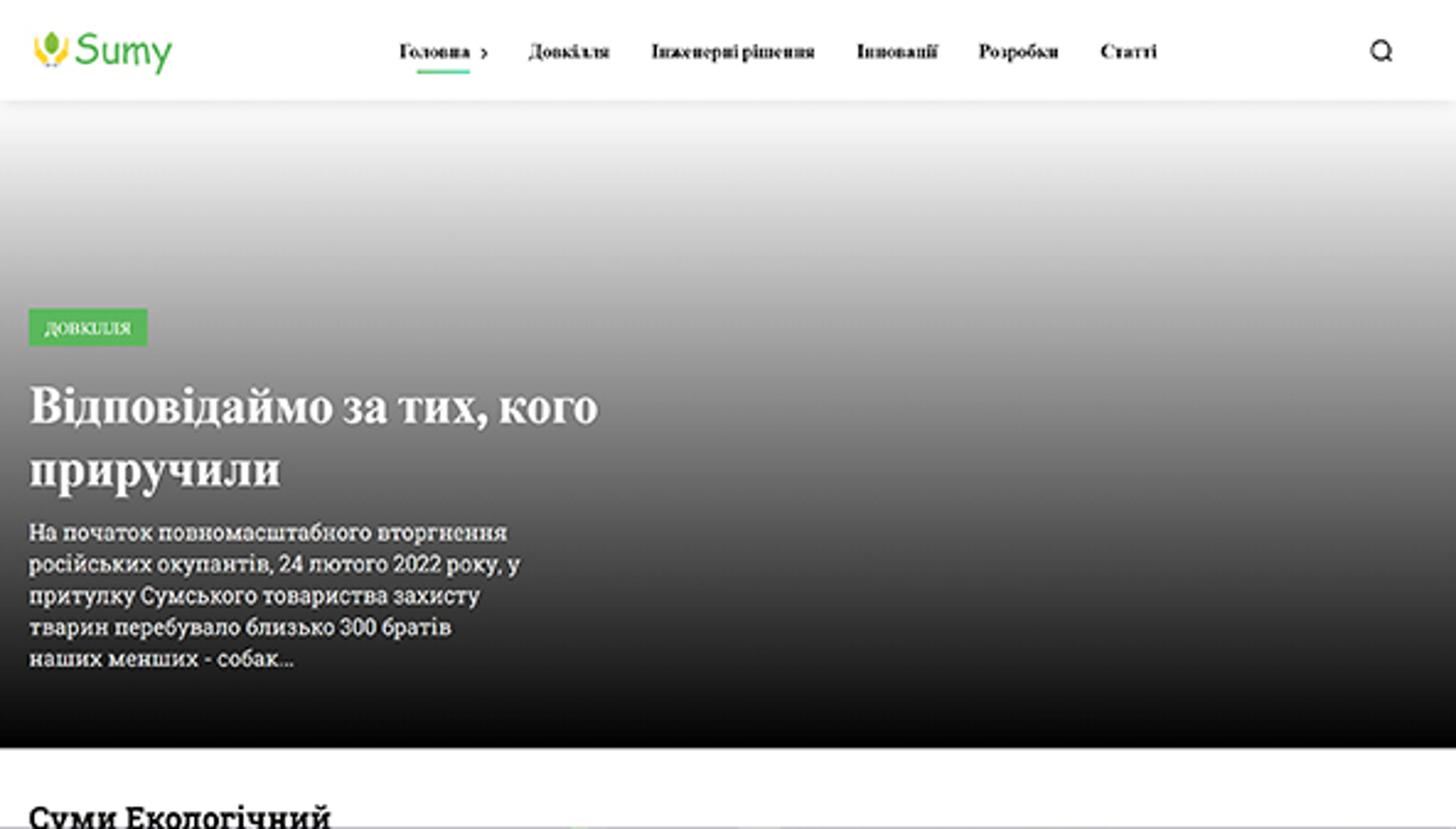 Nome Sumy (sumy-name.com)