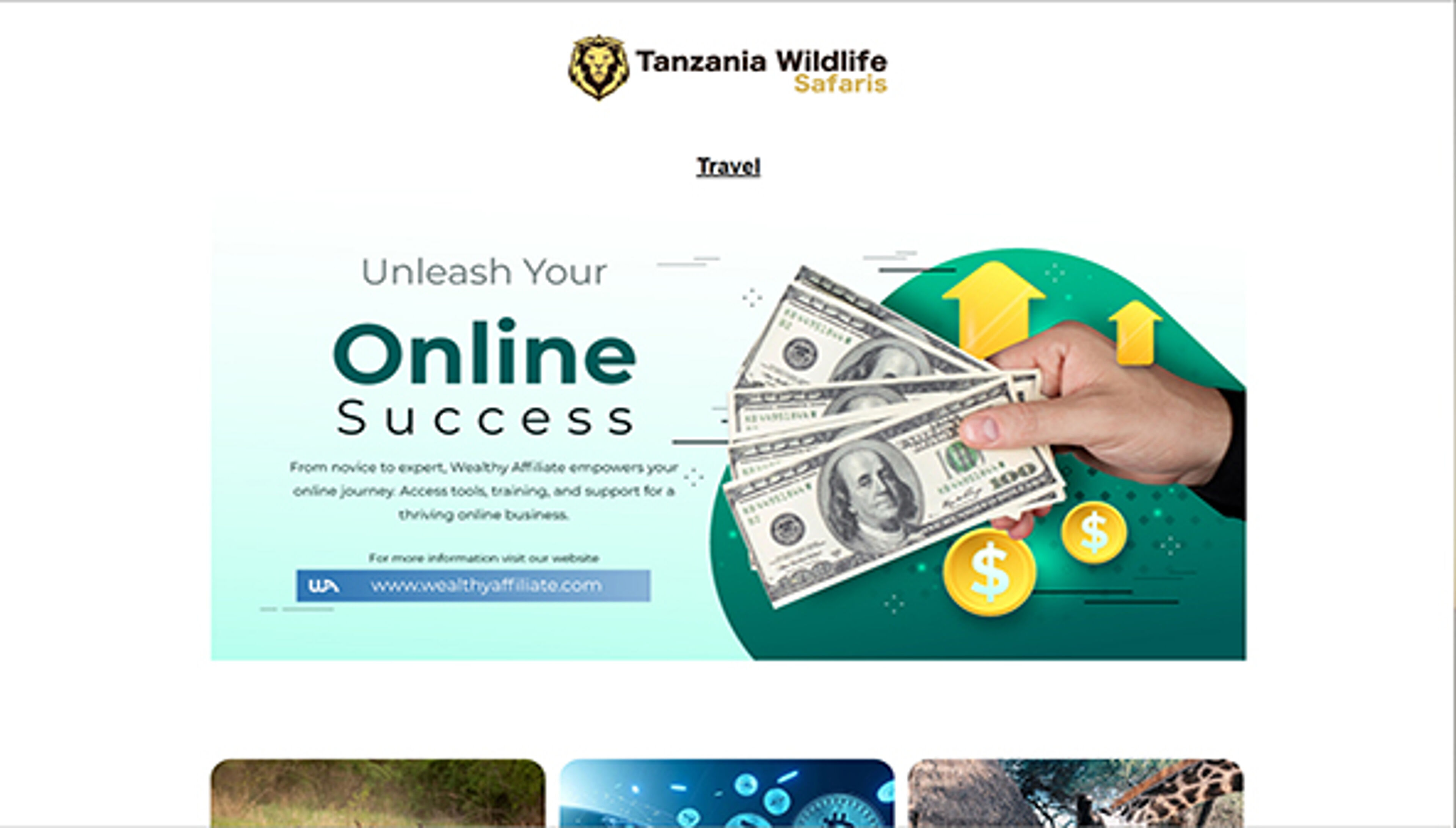 tanzaniawildlifesafaris.com