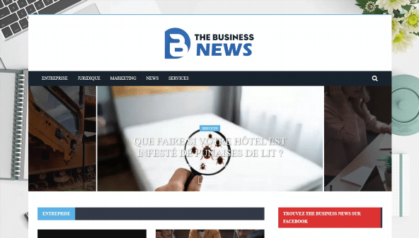 thebusinessnews.net
