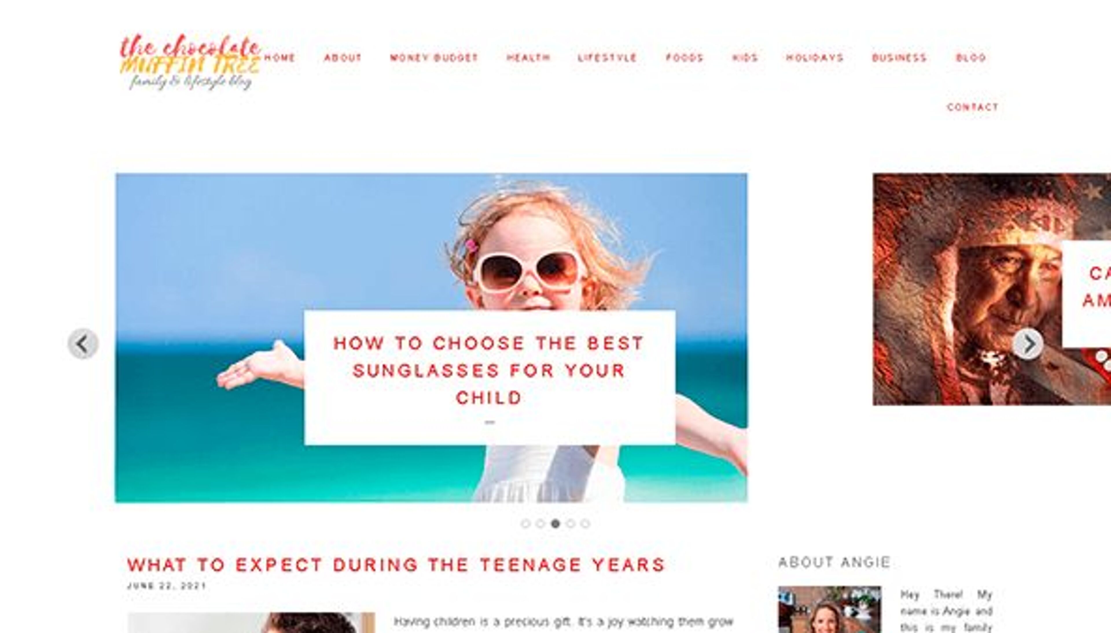 Der Schokoladenmuffinbaum (thechocolatemuffintree.com)