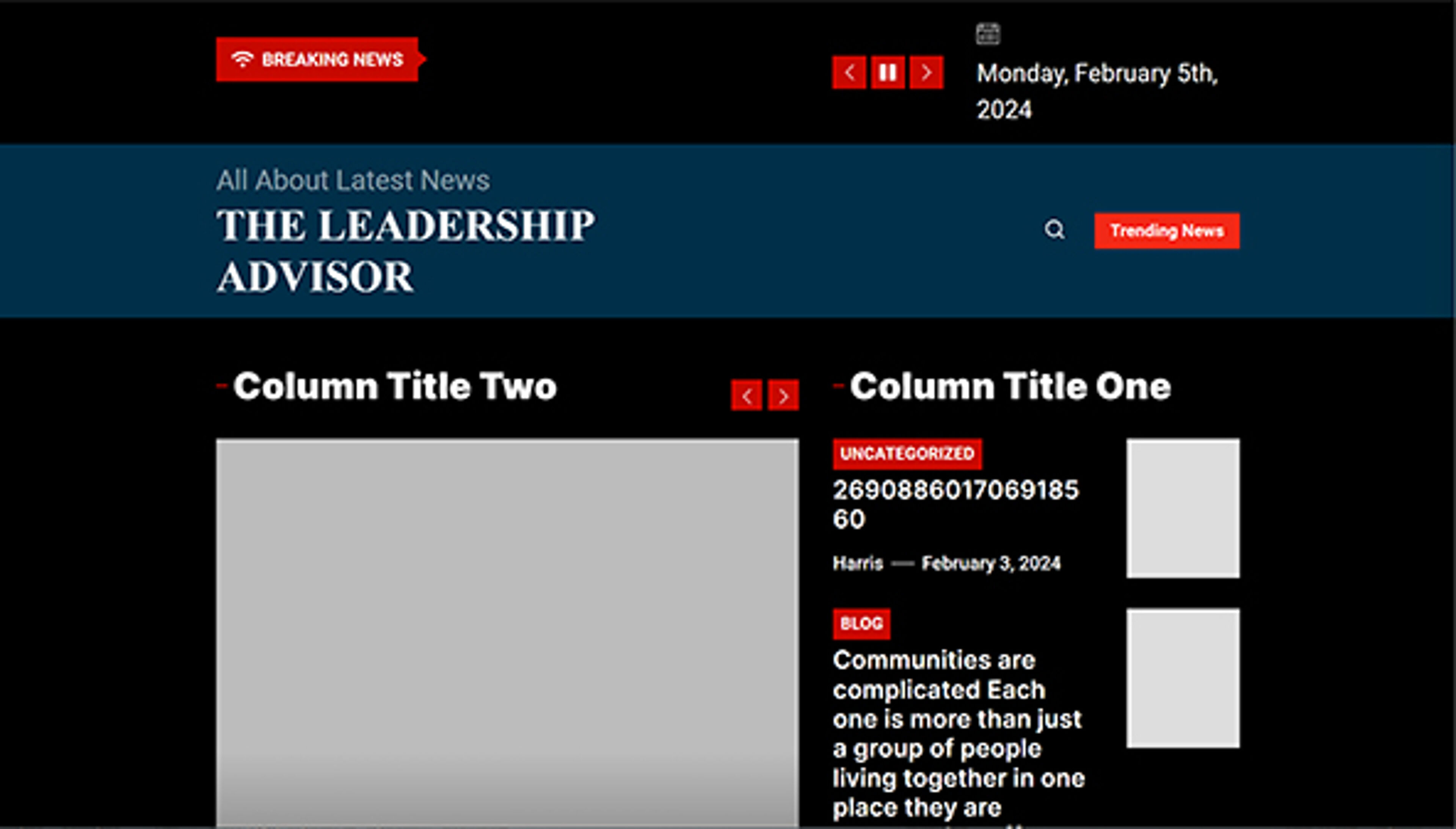 theleadershipadvisor.com