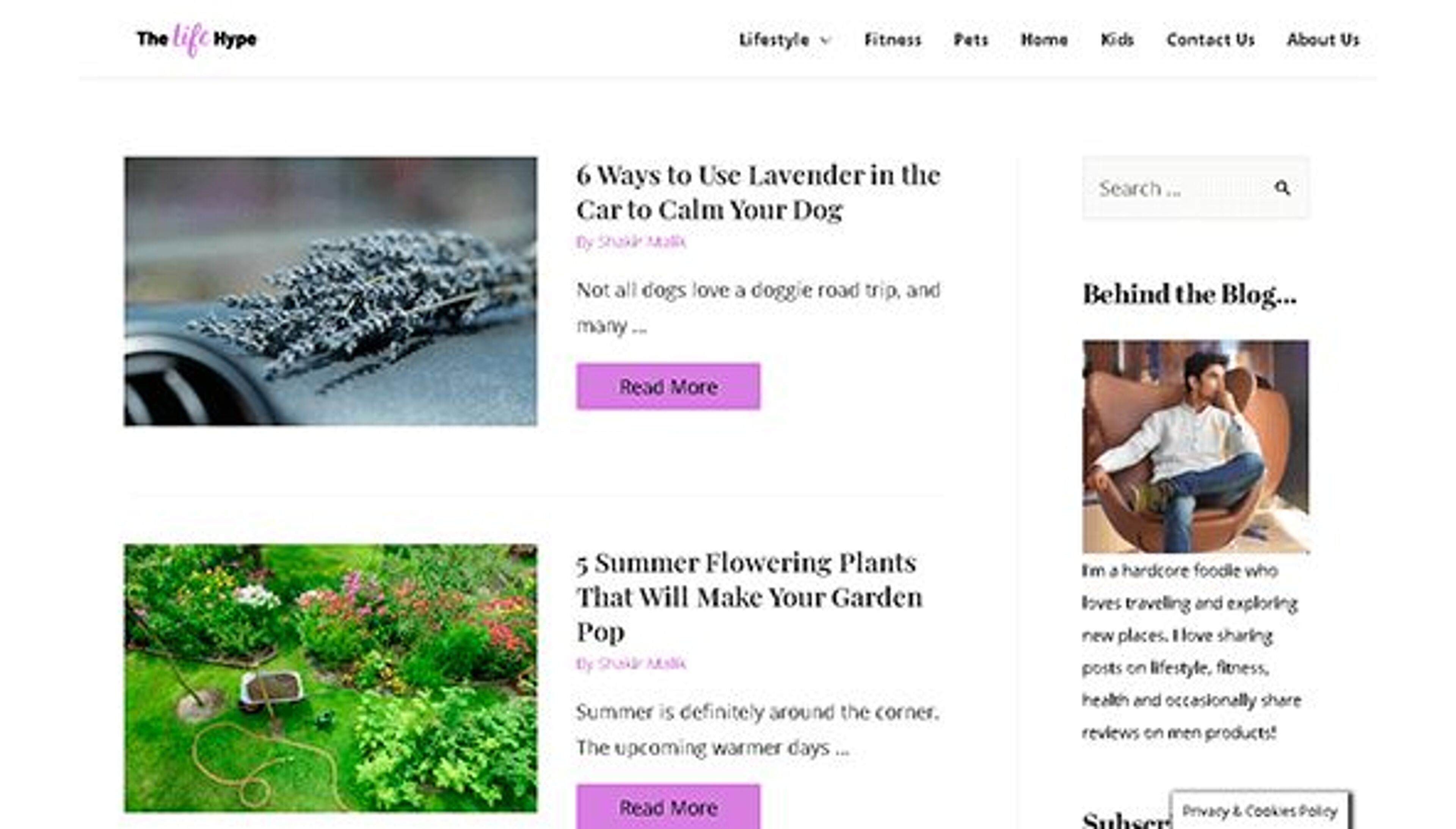 ضجيج الحياة (thelifehype.com)