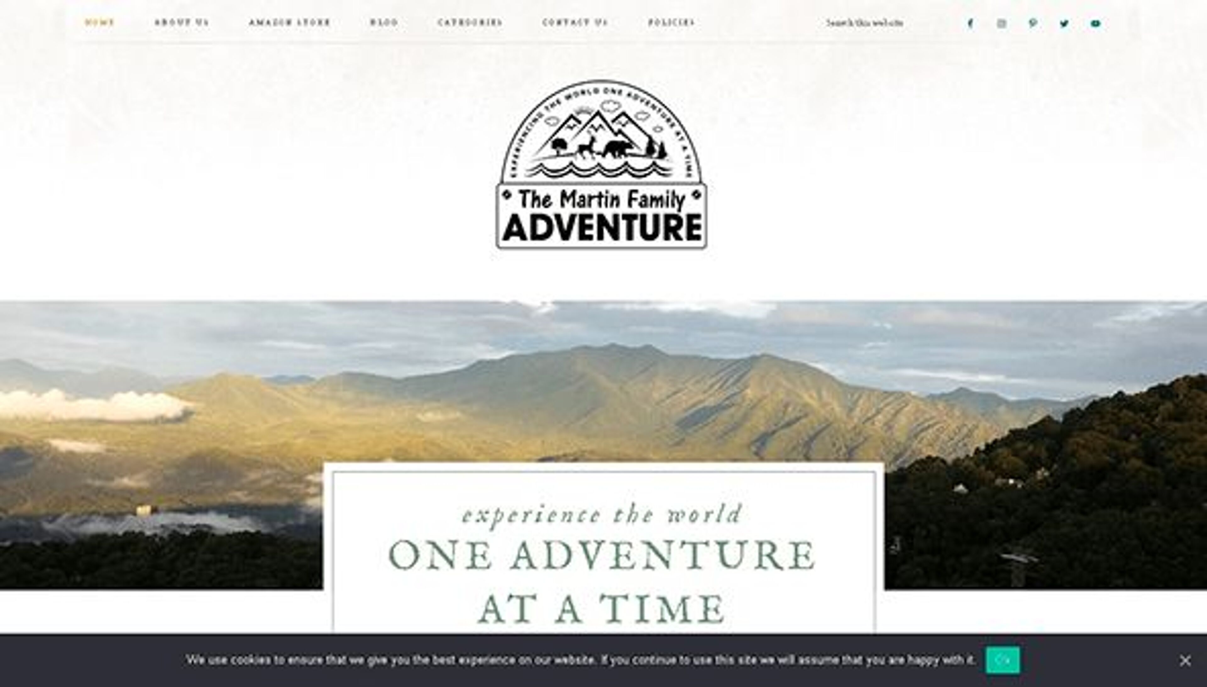 The martin family adventure (themartinfamilyadventure.com)