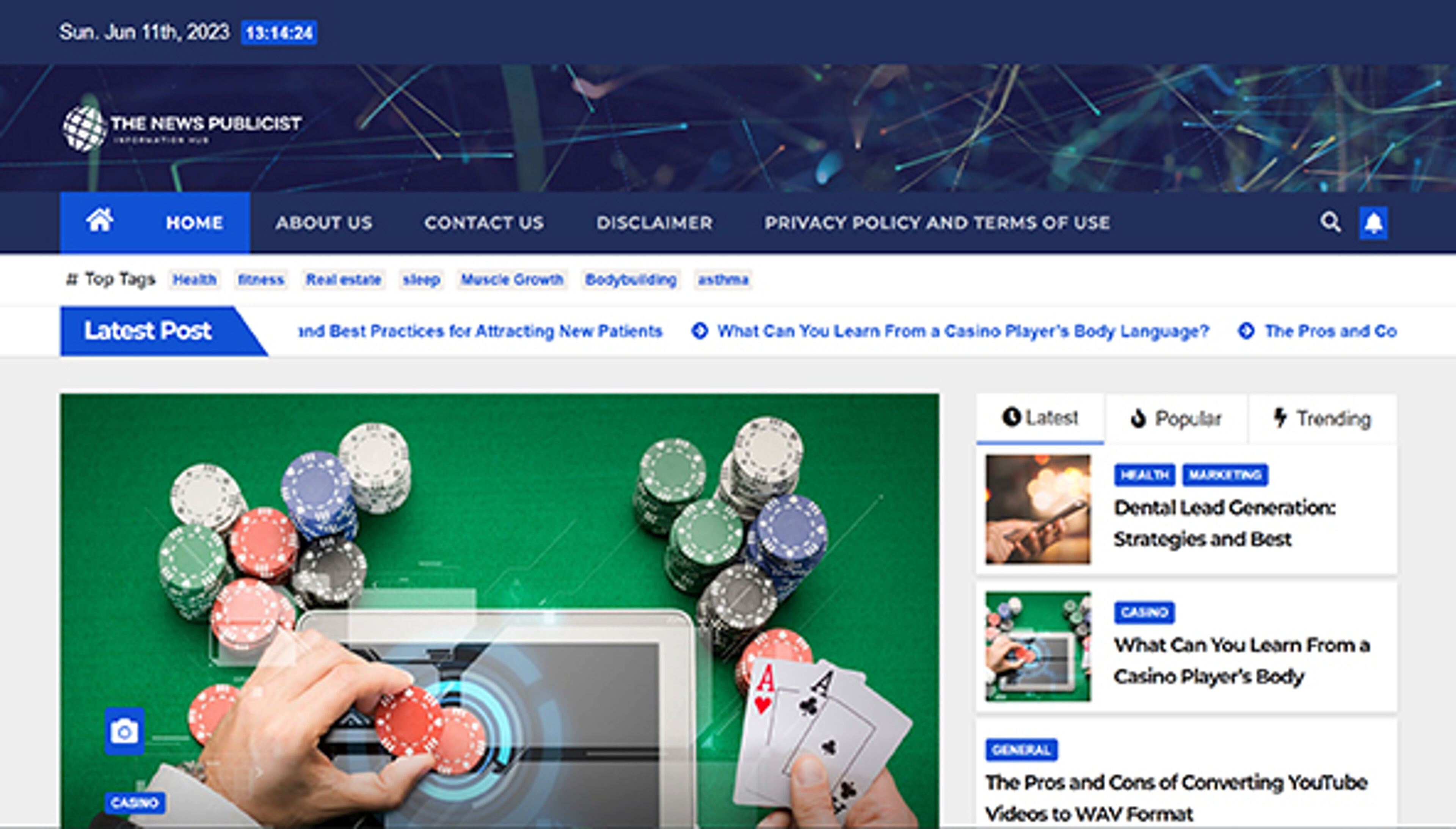 thenewspublicist.com