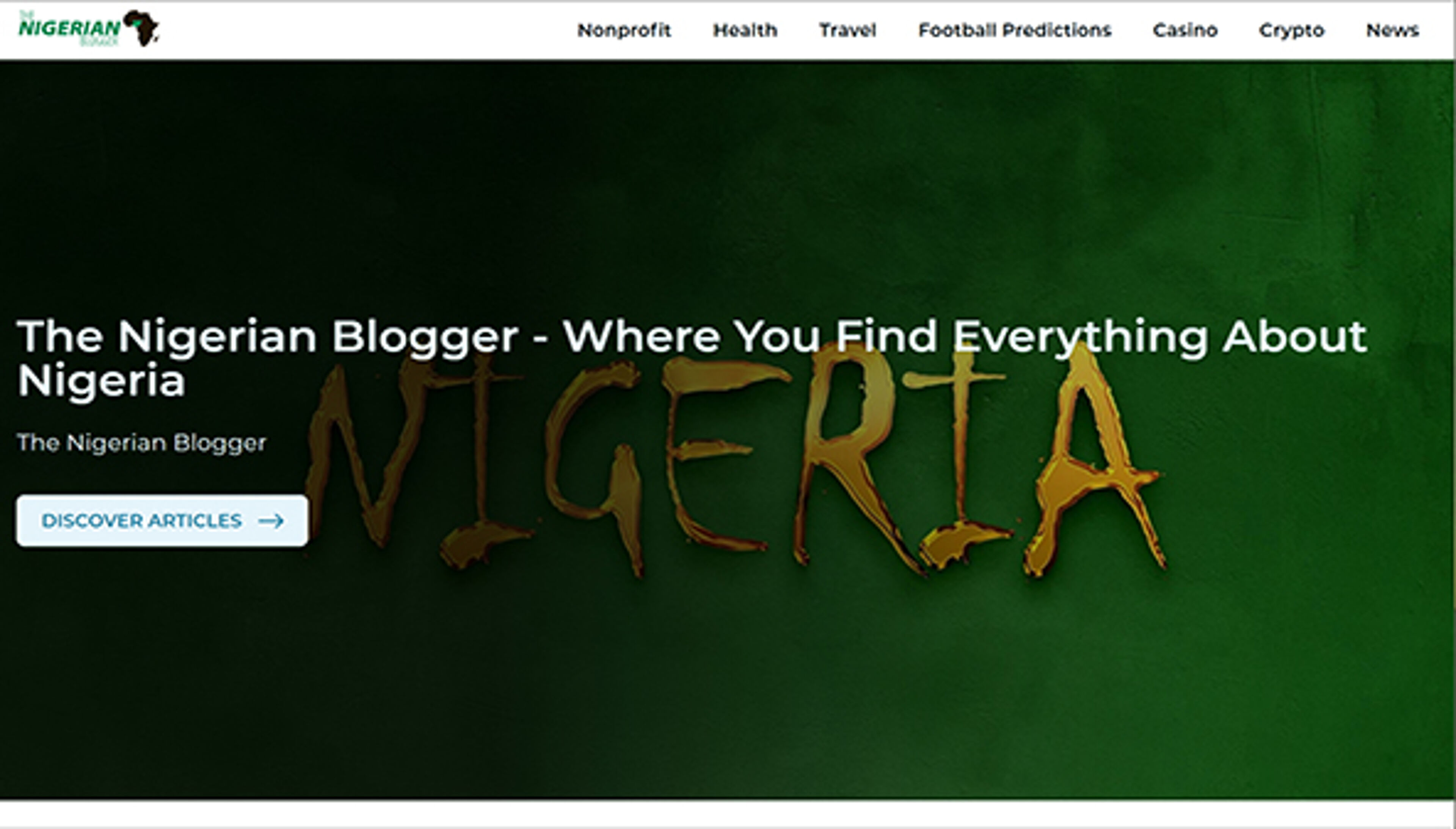 thenigerianblogger.com