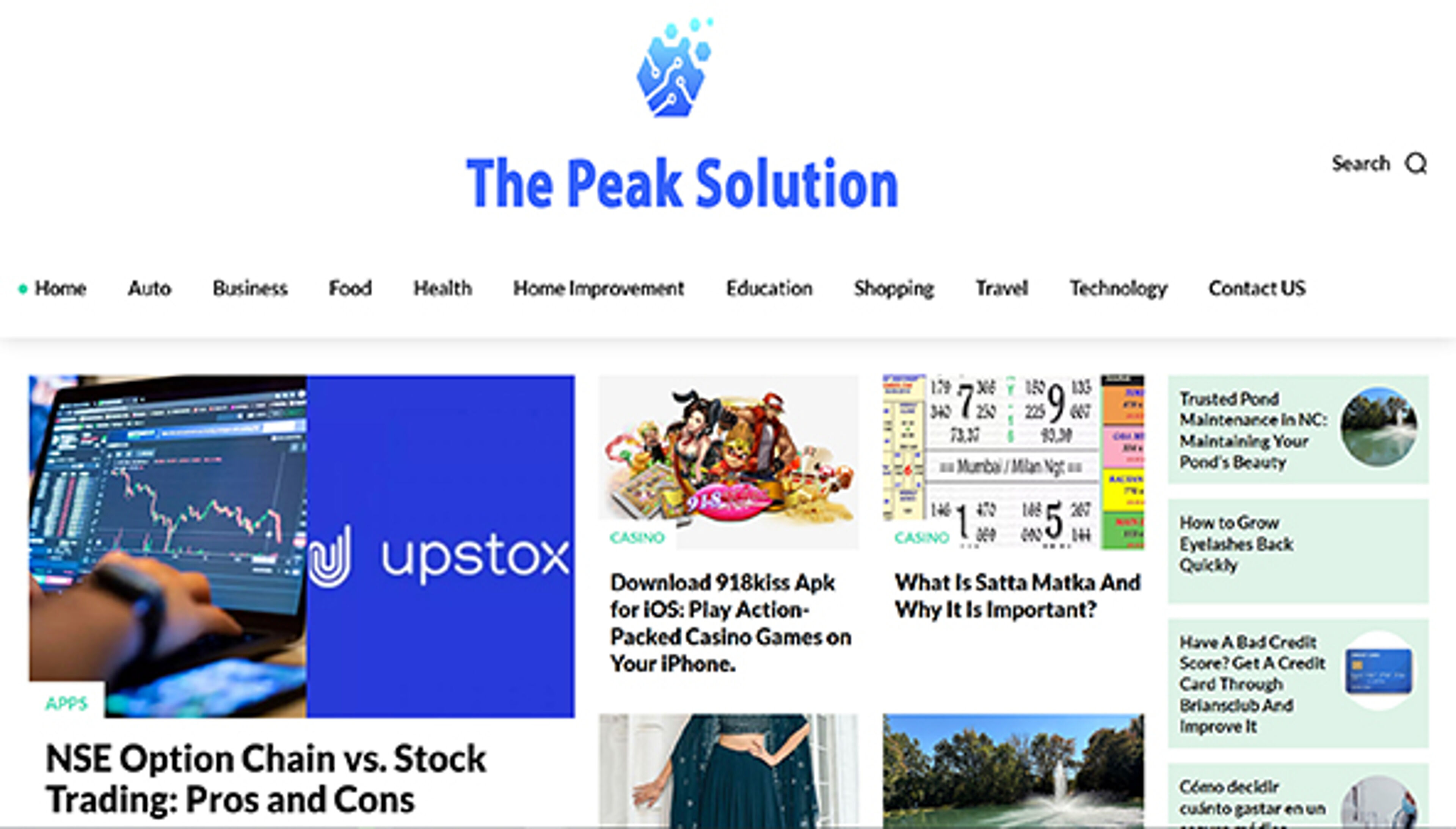 thepeaksolution.com