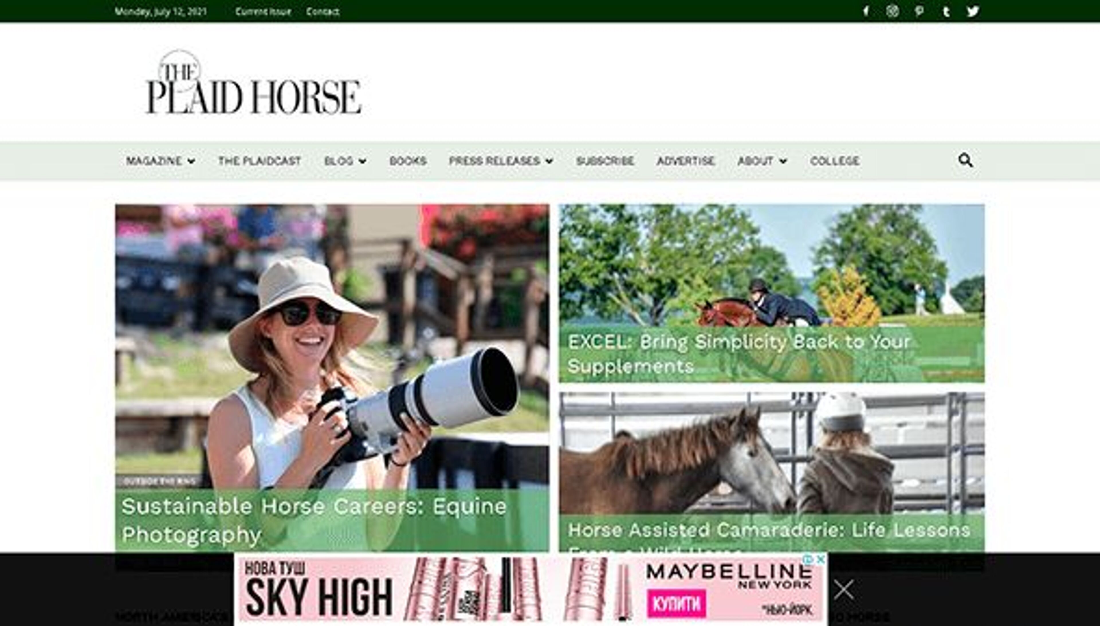 Das karierte Pferd (theplaidhorse.com)