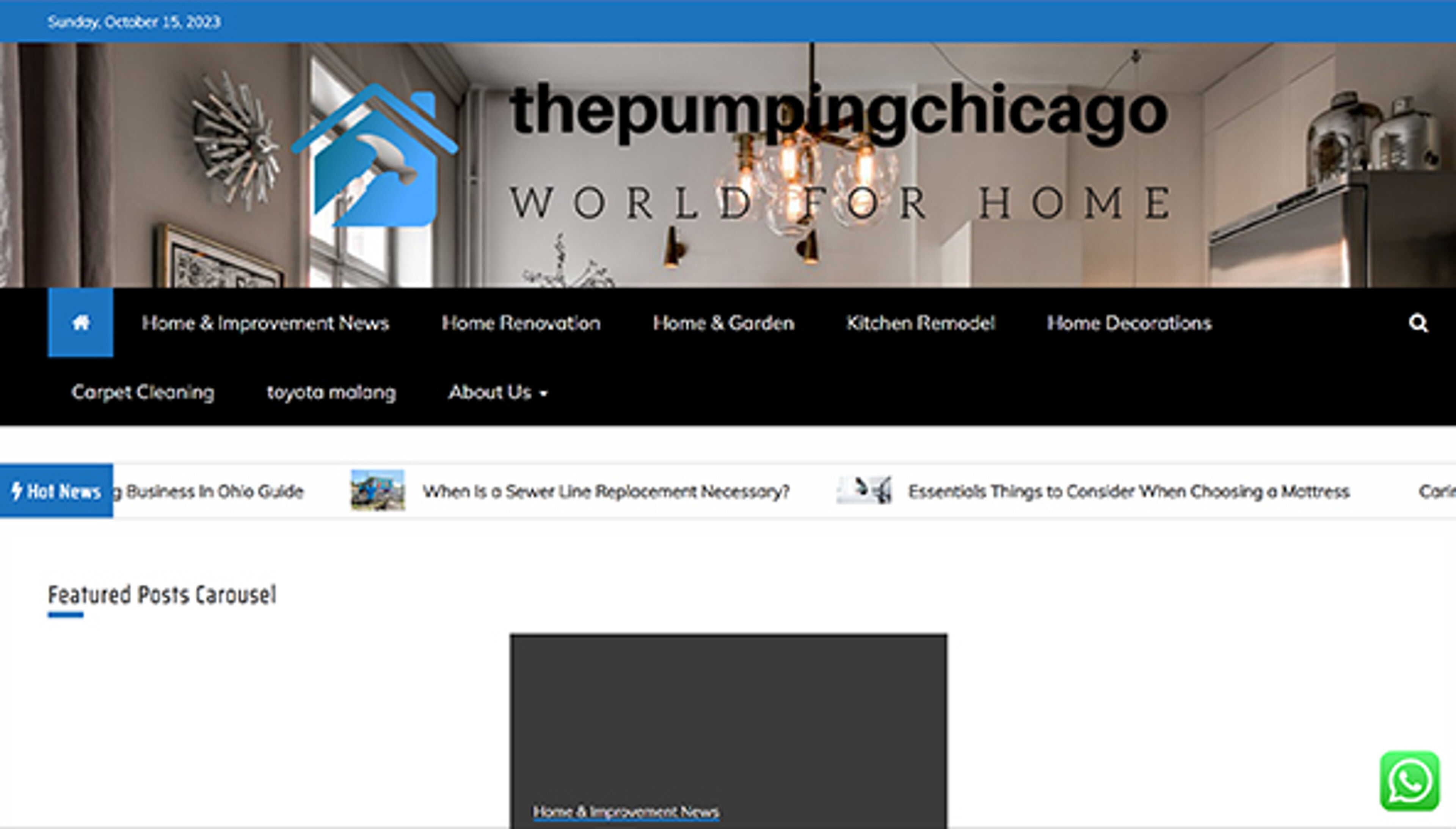 thepumpingchicago.com