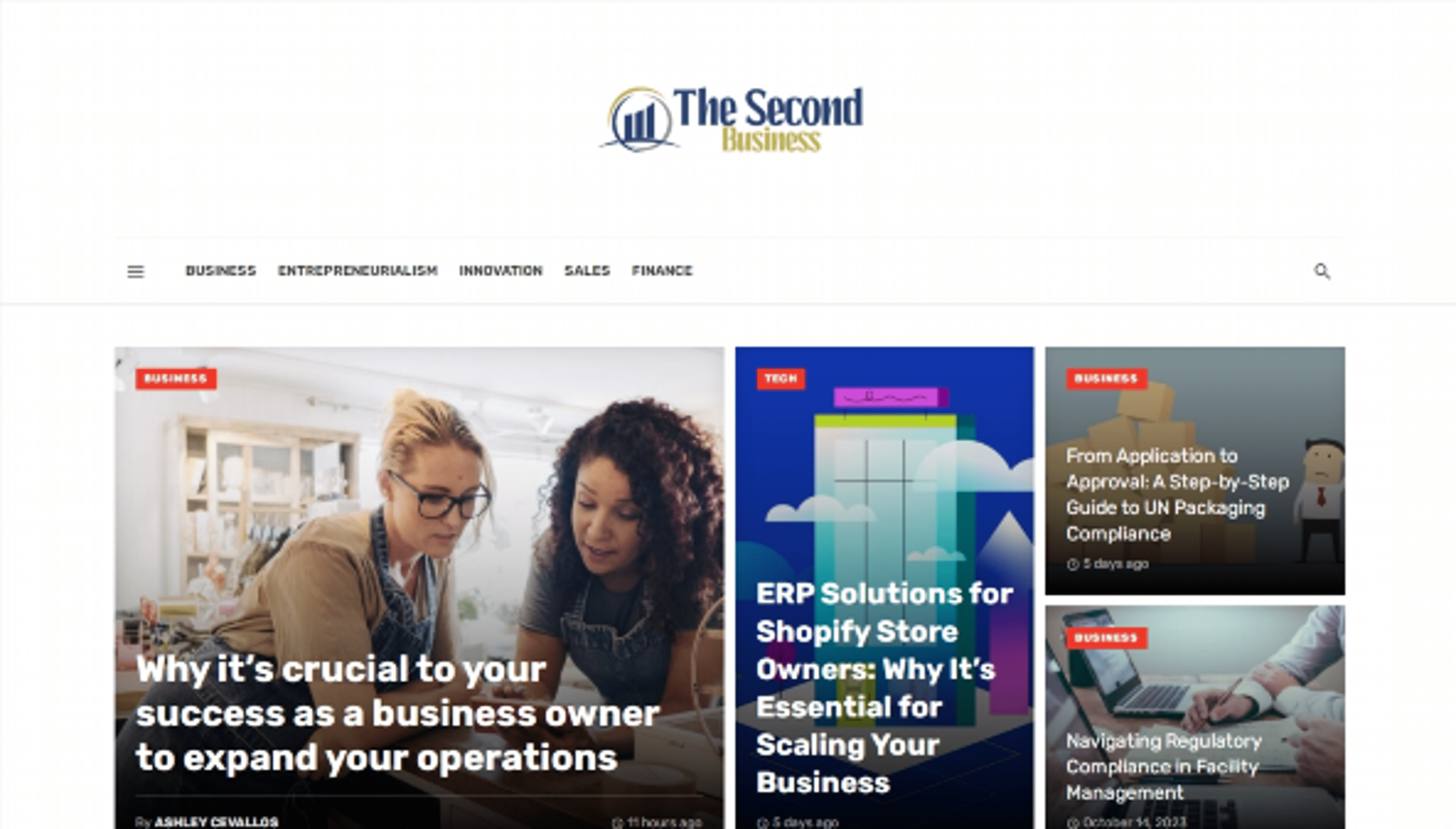 thesecondbusiness.com