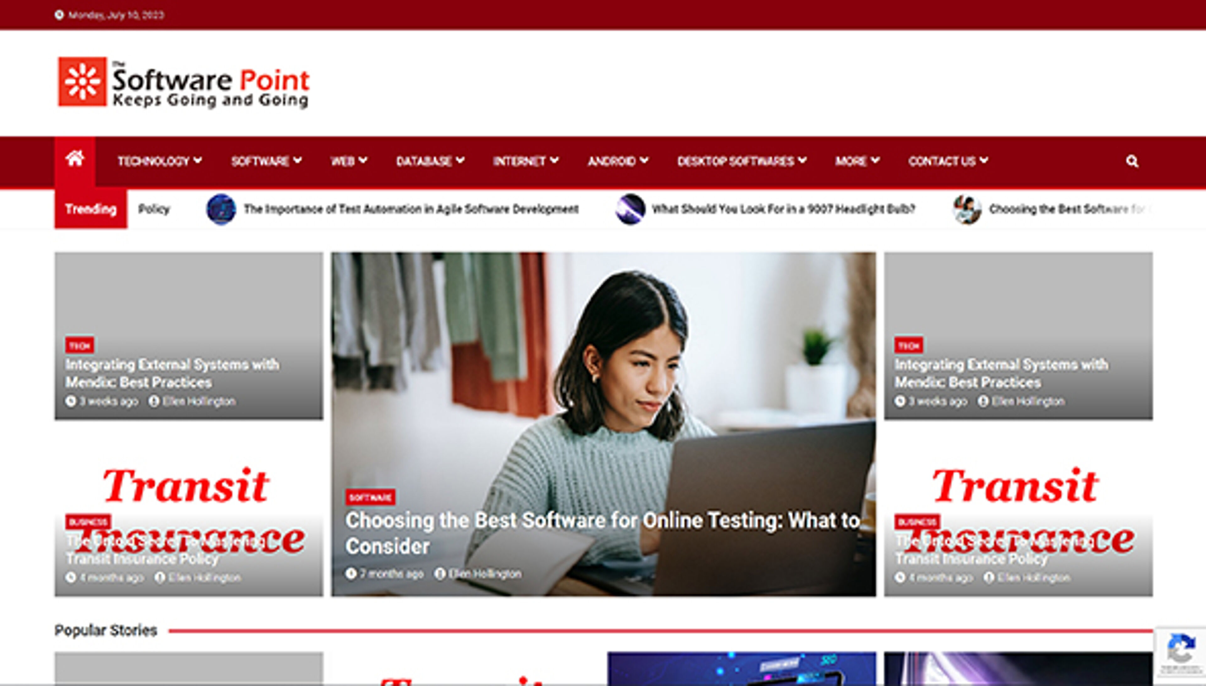 thesoftwarepoint.com