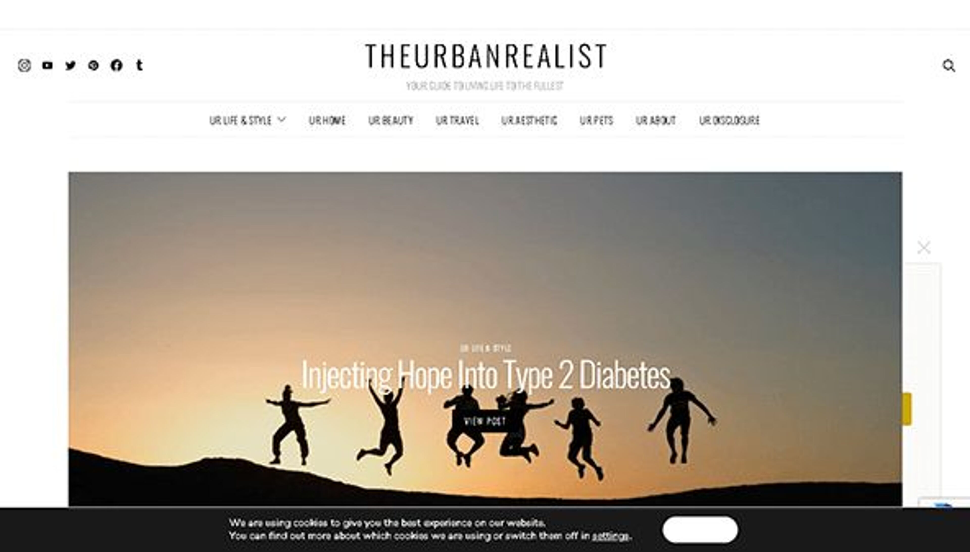 Міський реаліст (theurbanrealist.com)