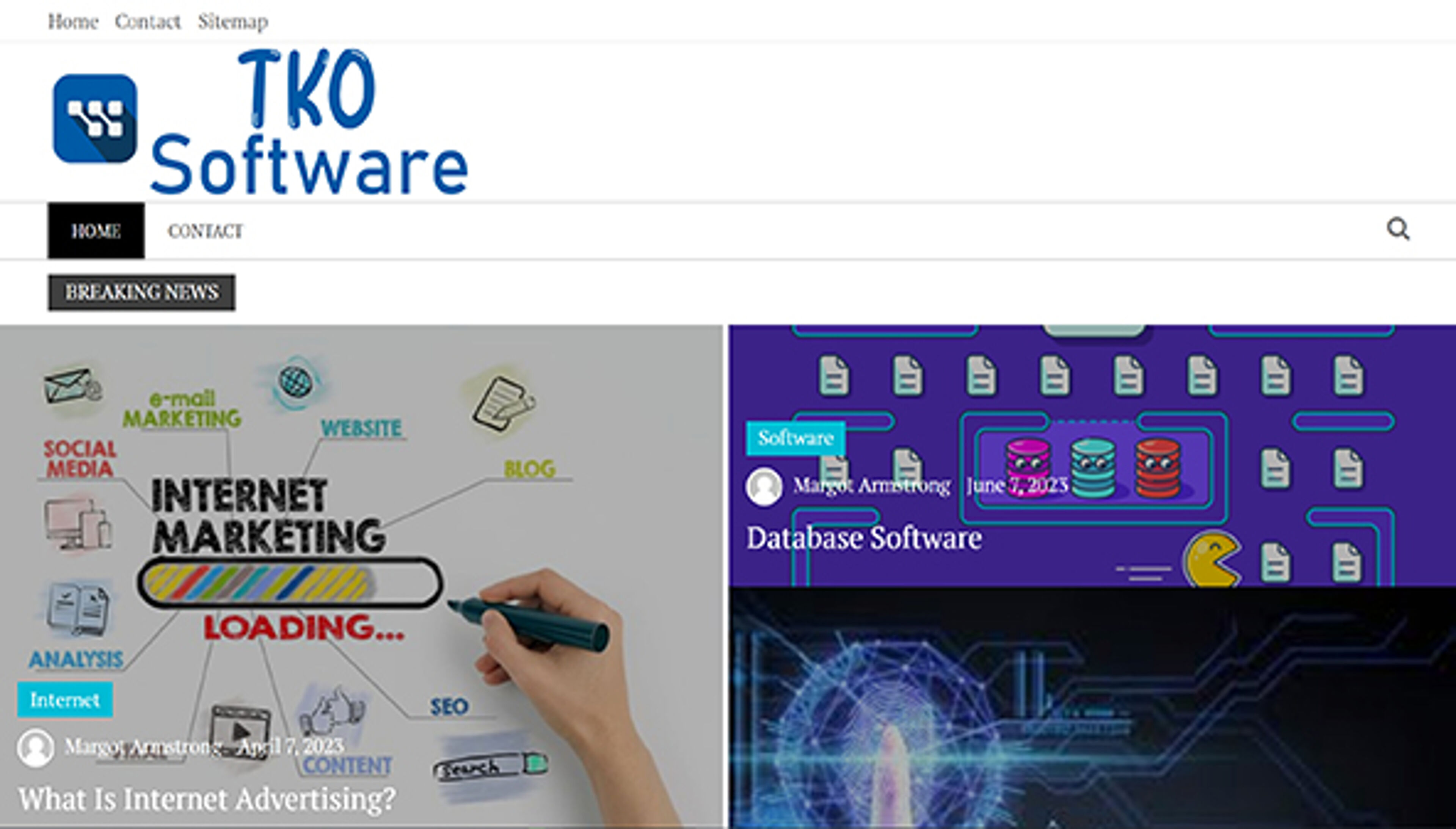 Программное обеспечение TKO (tko-software.com)