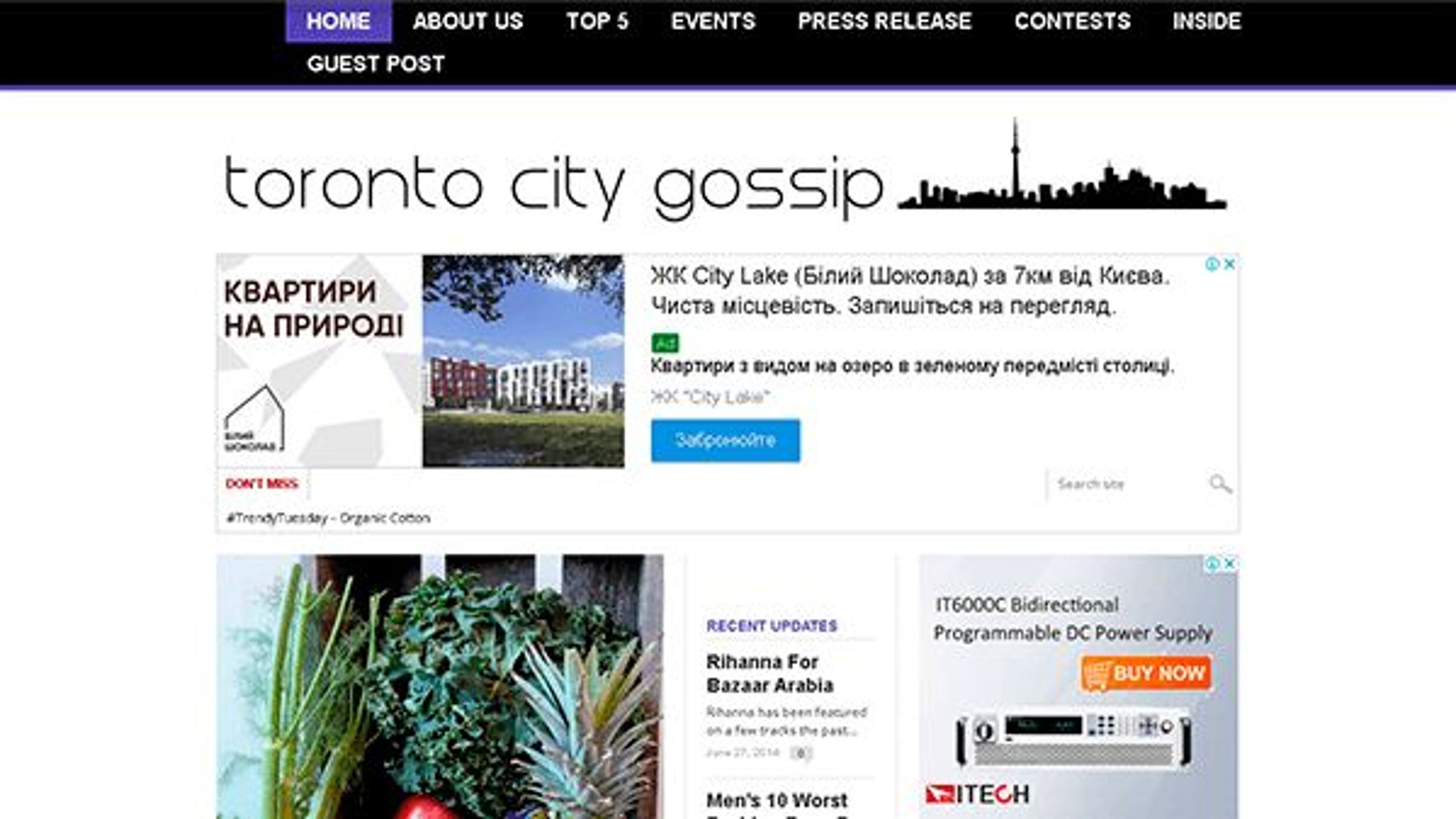 مدينة تورنتو القيل والقال (torontocitygossip.com)