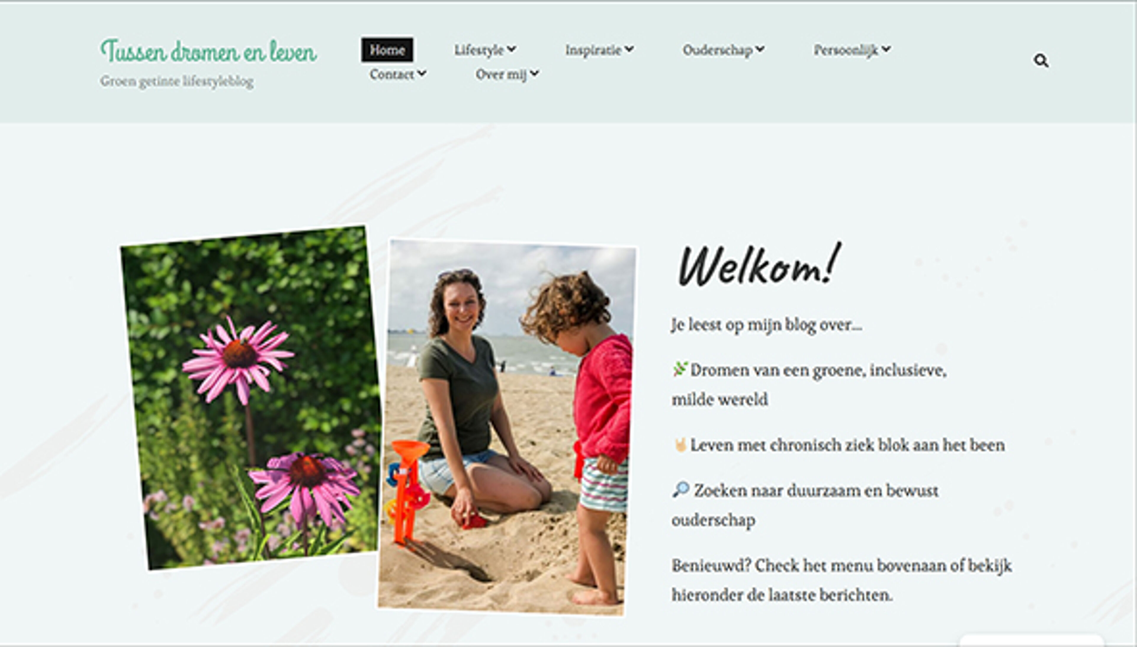 tussendromenenleven.be