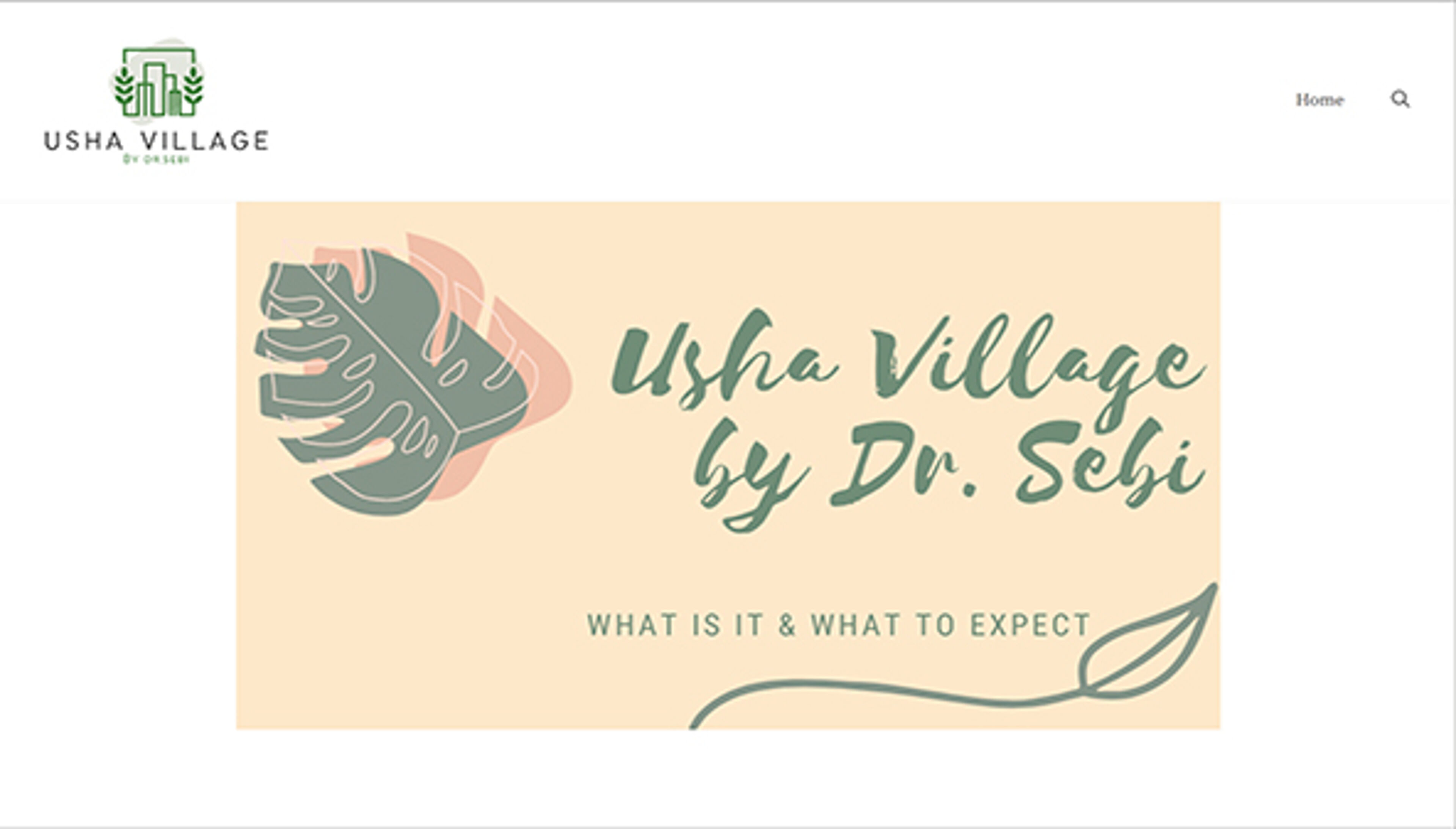 ushavillagebydrsebi.com