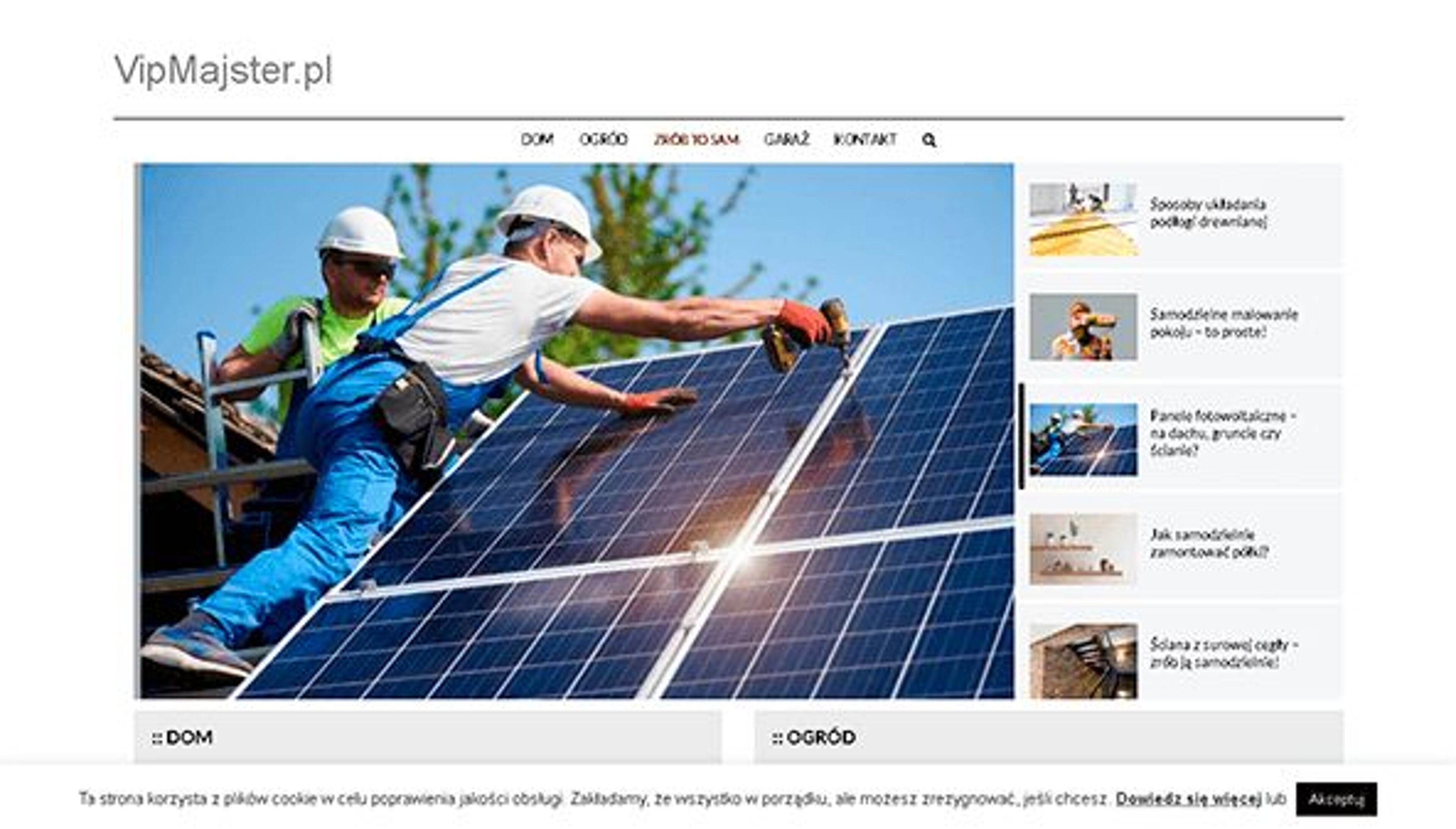 Mestre Vip (vipmajster.pl)