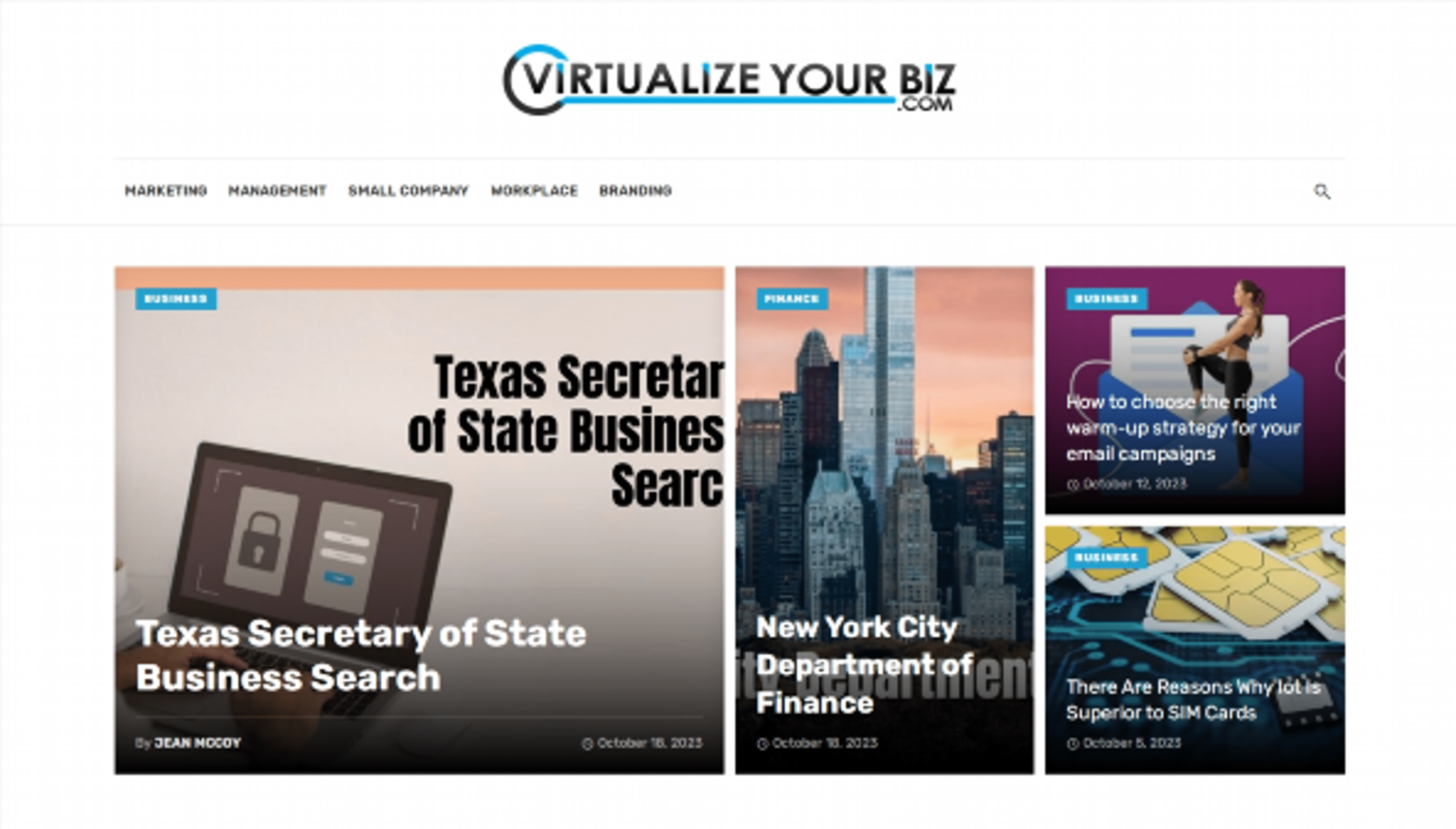 virtualizeyourbiz.com