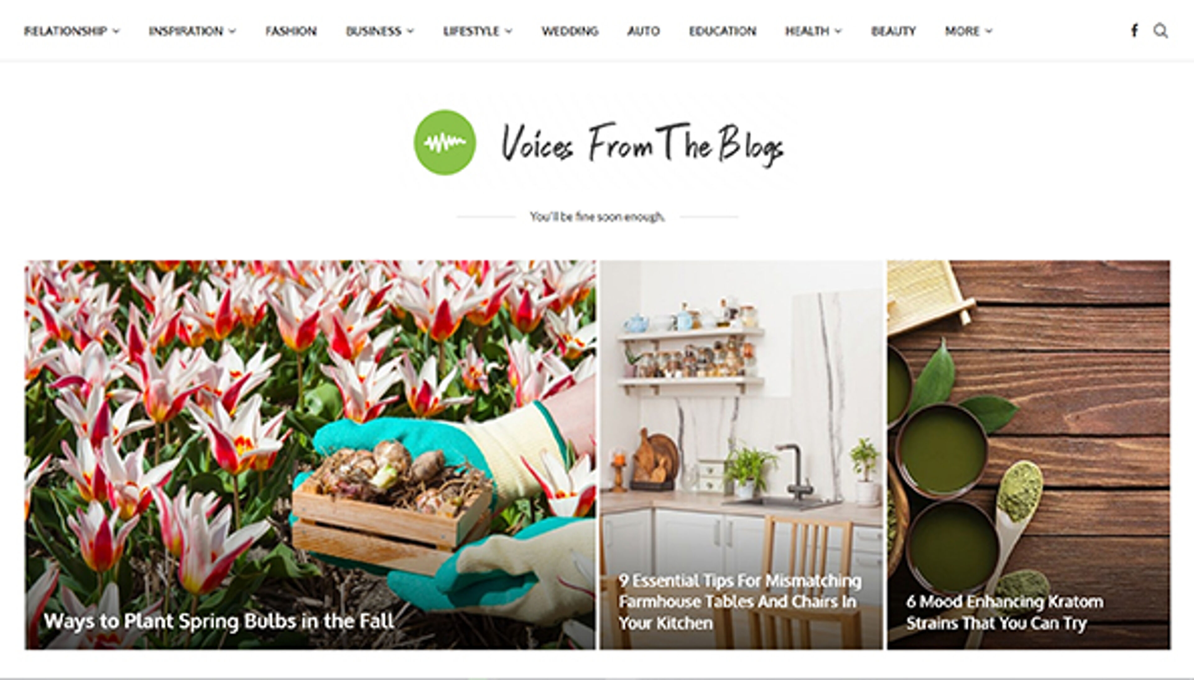 voicesfromtheblogs.com