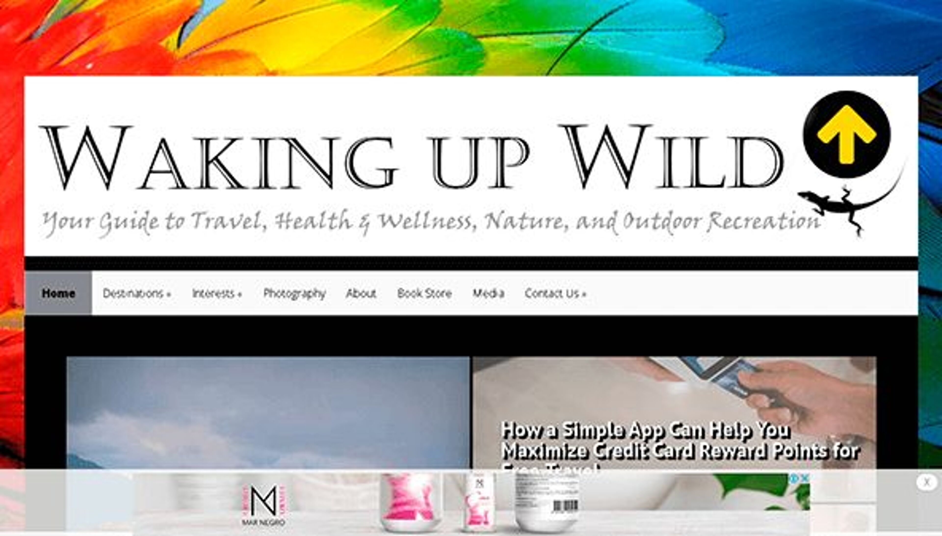 Despertar selvagem (wakingupwild.com)