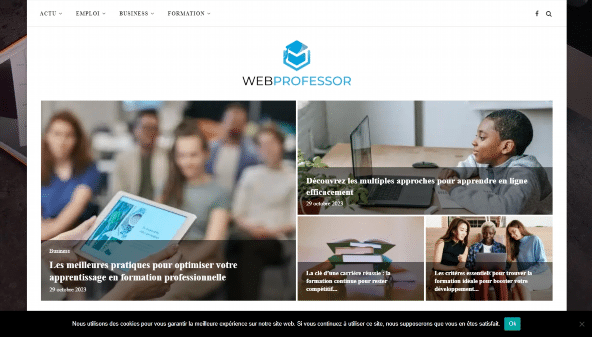 web-professor.net
