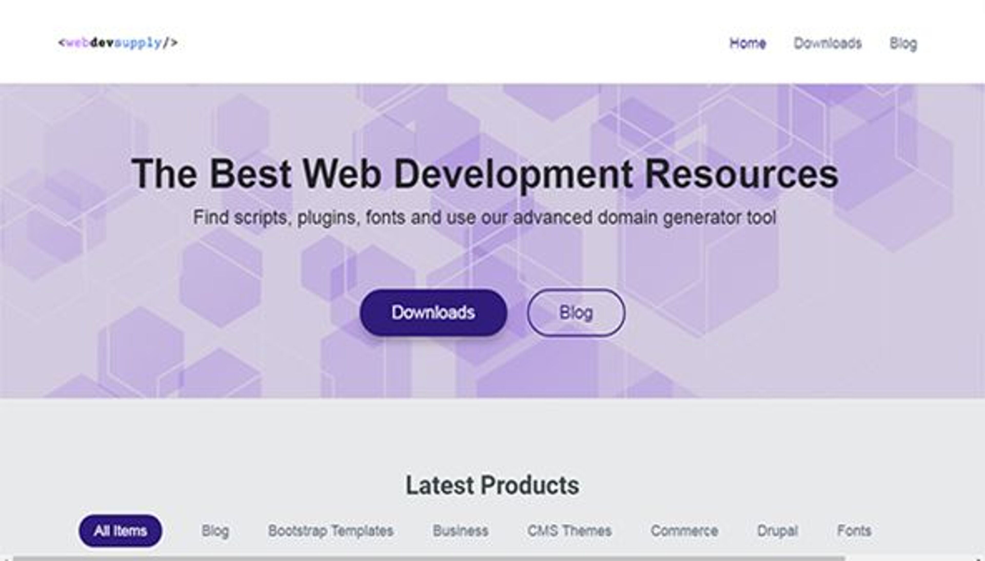 Interneto kūrėjų tiekimas (webdevsupply.com)