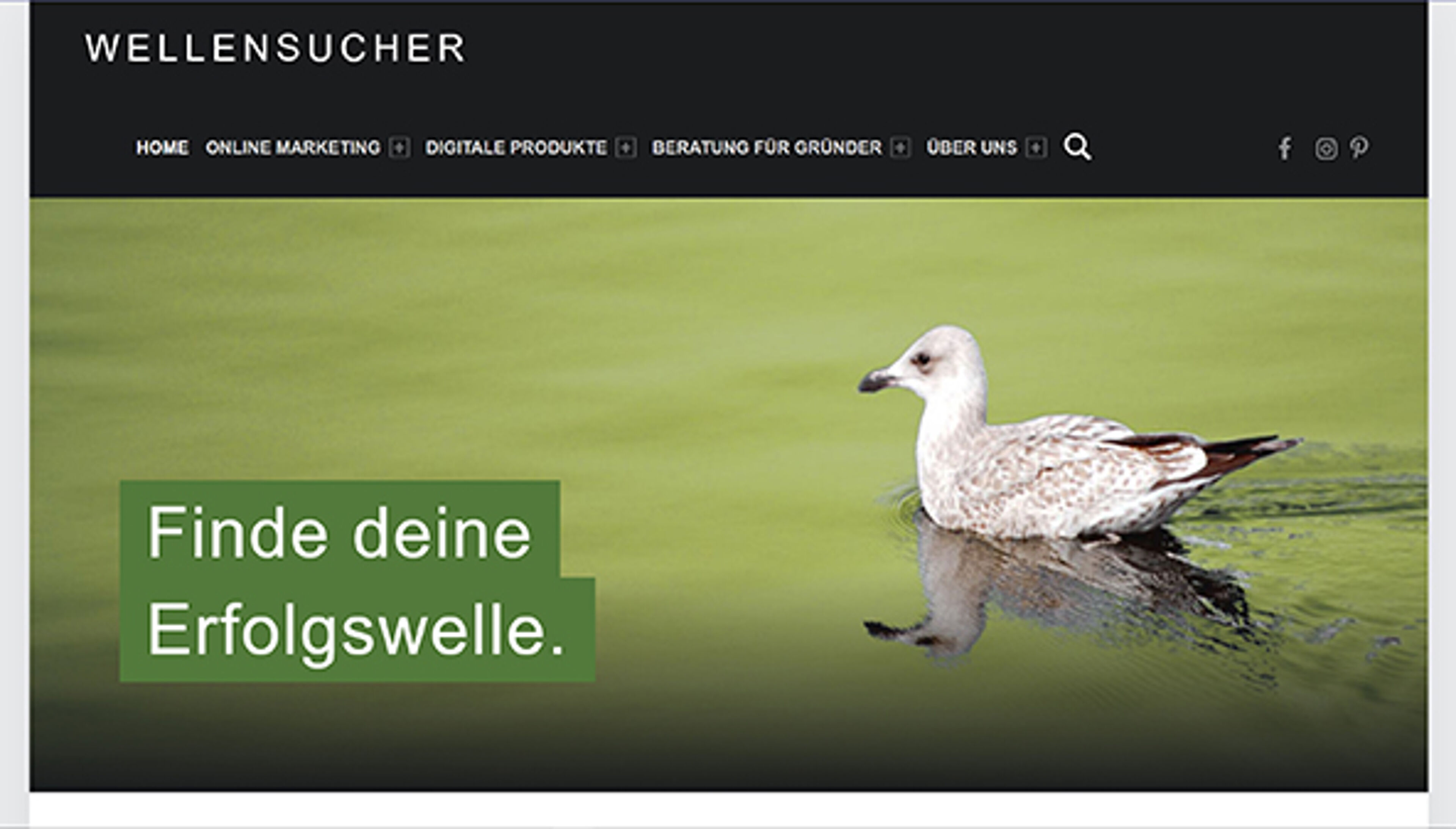 Chercheur d'ondes (wellensucher.de)