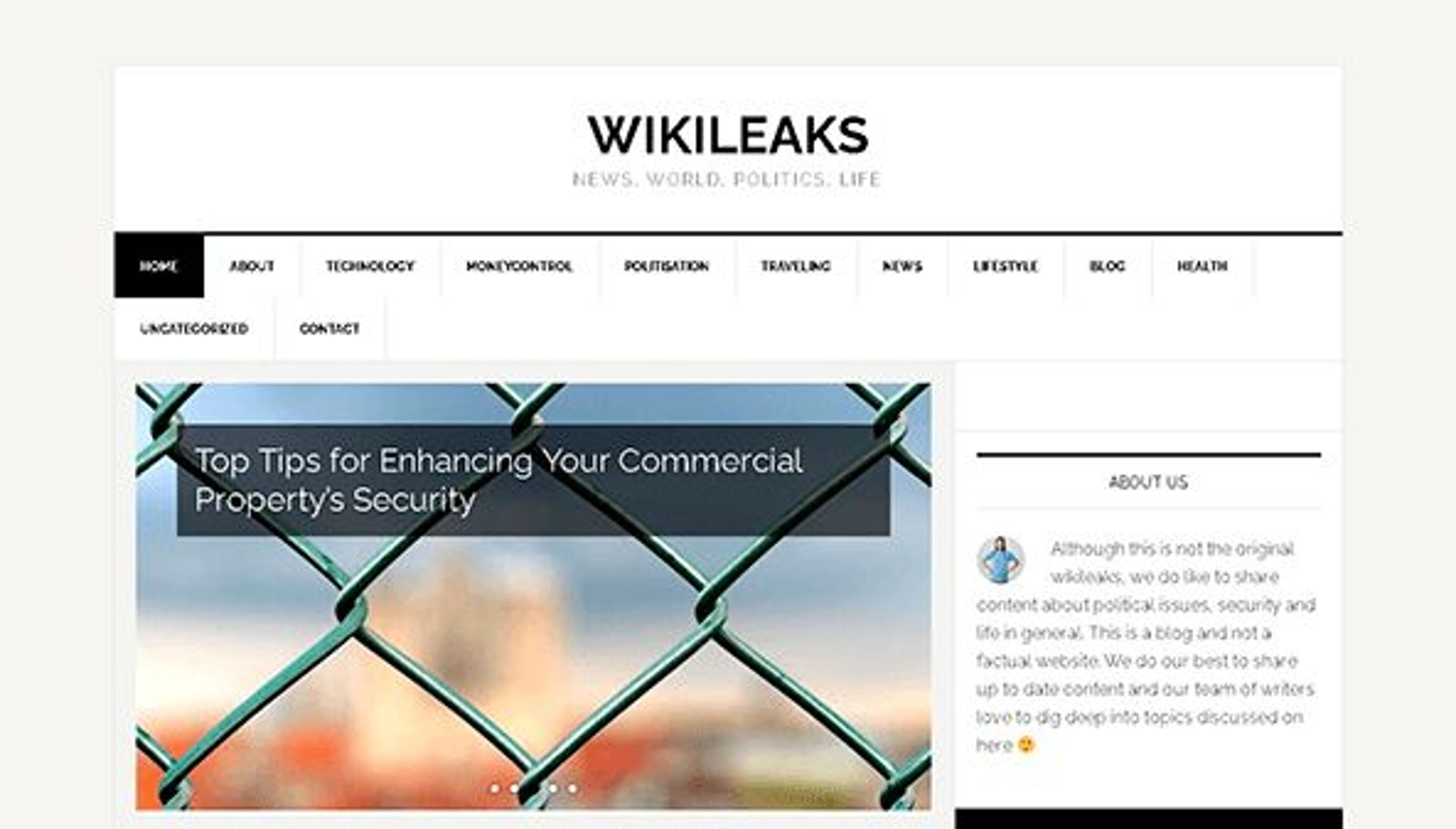 Wikileaks (wikileaks.info)